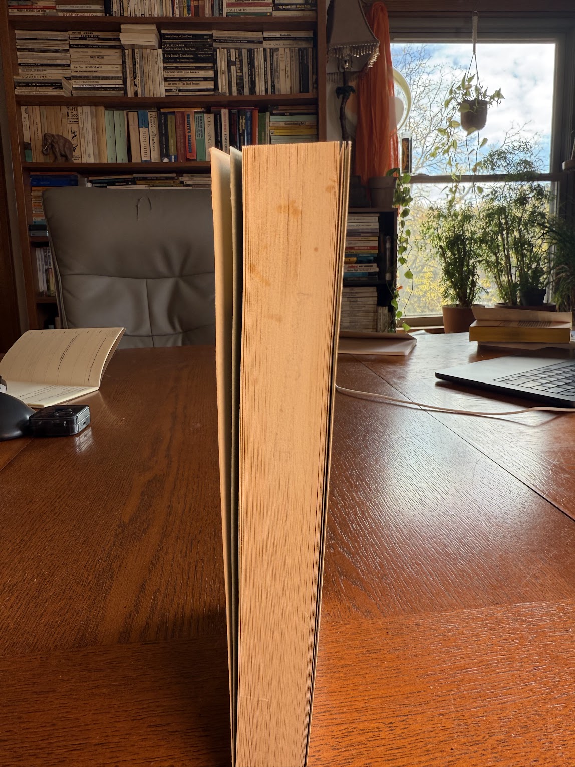 Slow Learner by Thomas Pynchon