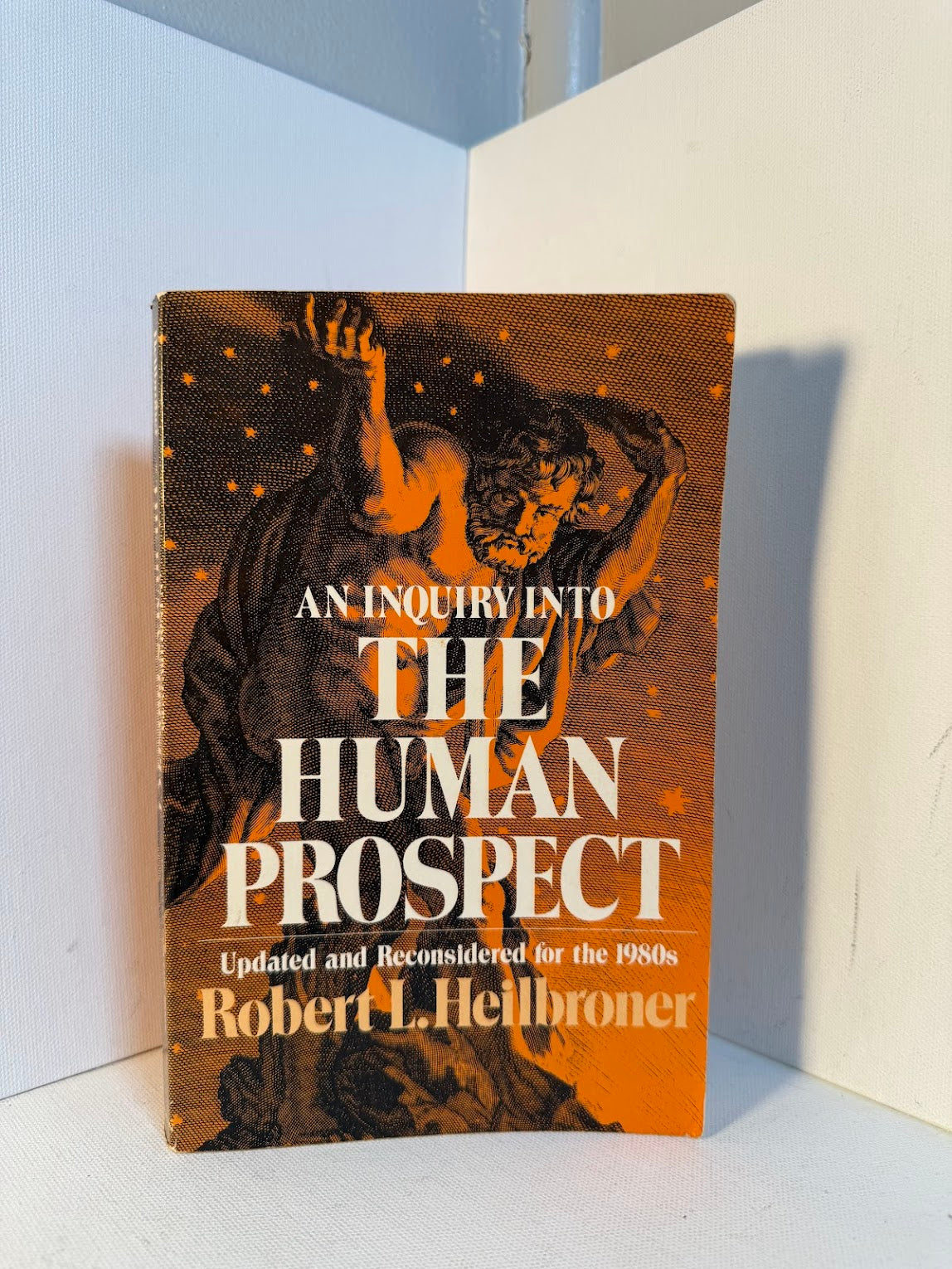 An Inquiry into the Human Prospect by Robert L. Heilbroner