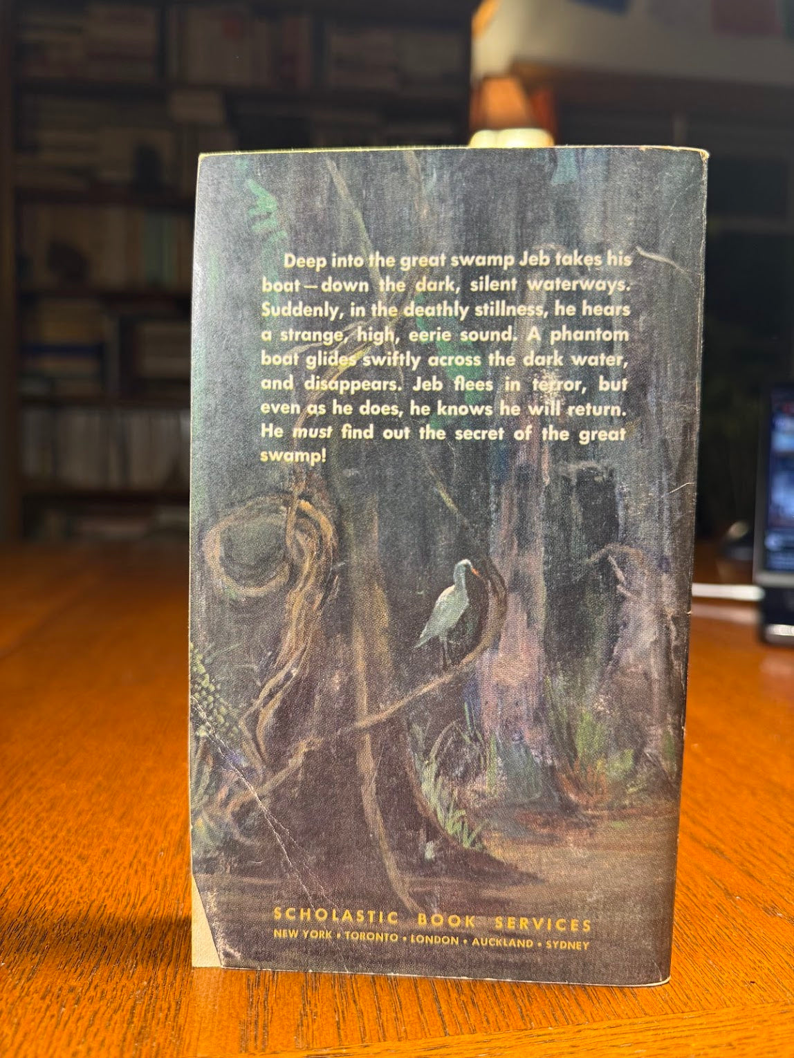 The Mystery of the Great Swamp by Marjorie A. Zapf