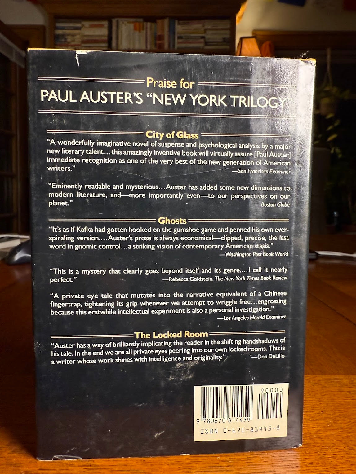 In the Country of Last Things by Paul Auster