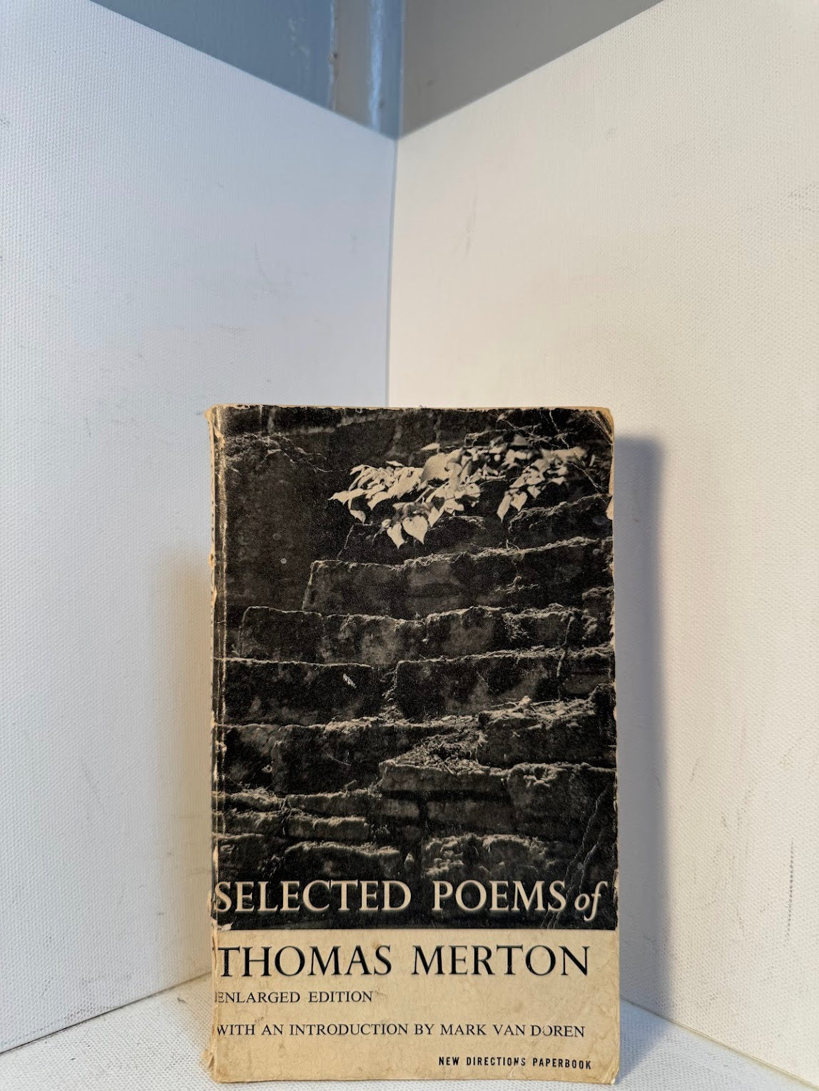 Selected Poems of Thomas Merton