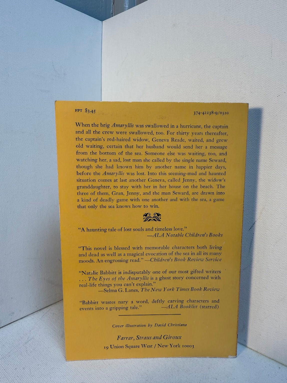 The Eyes of Amaryllis by Natalie Babbitt