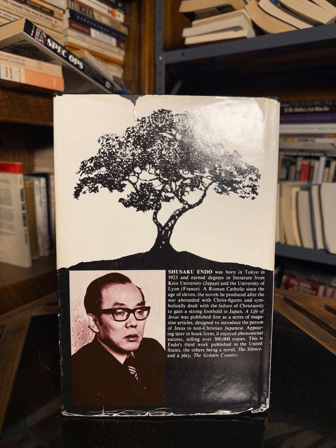 A Life of Jesus by Shusaku Endo