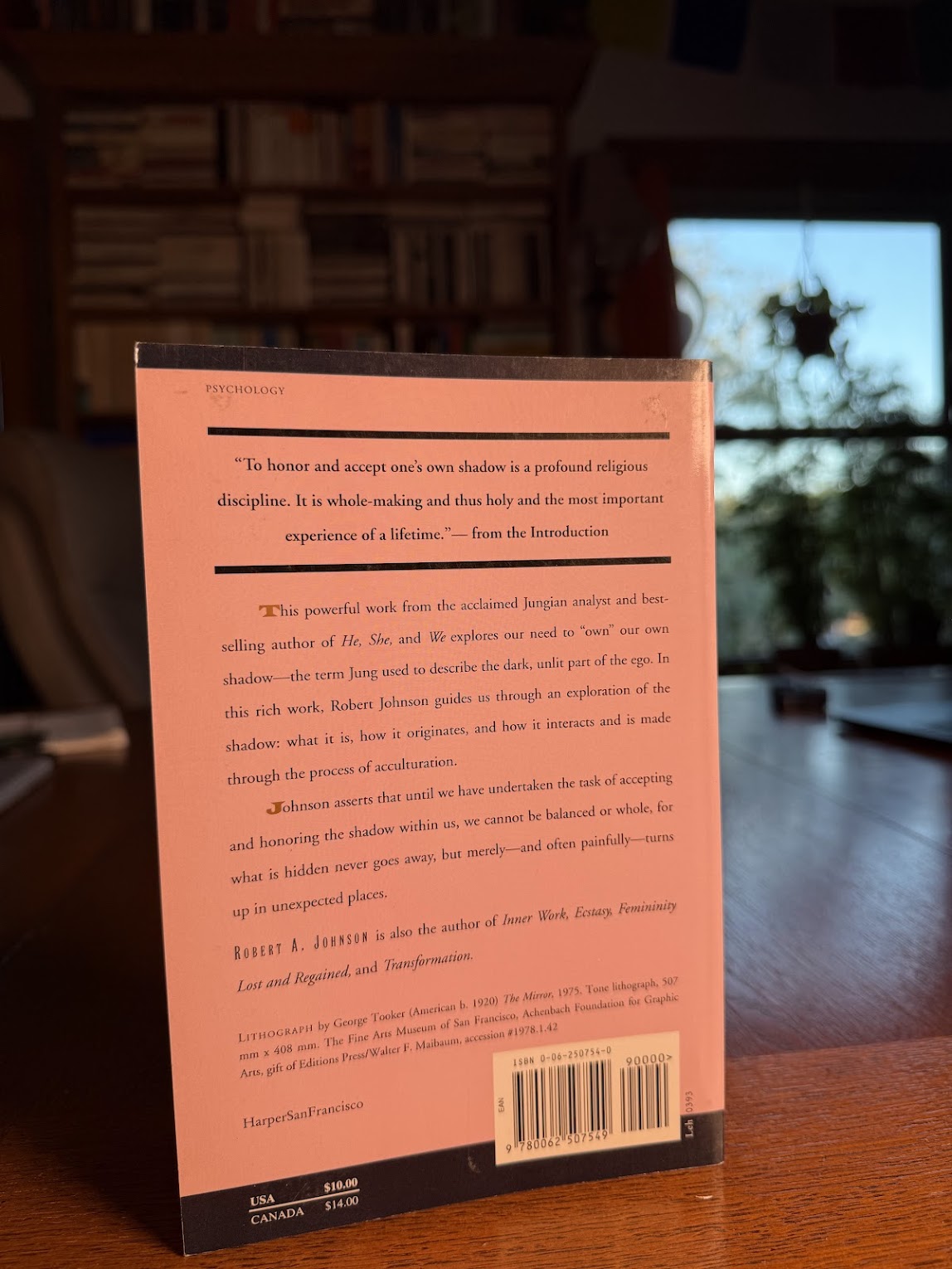 Owning Your Own Shadow by Robert A. Johnson
