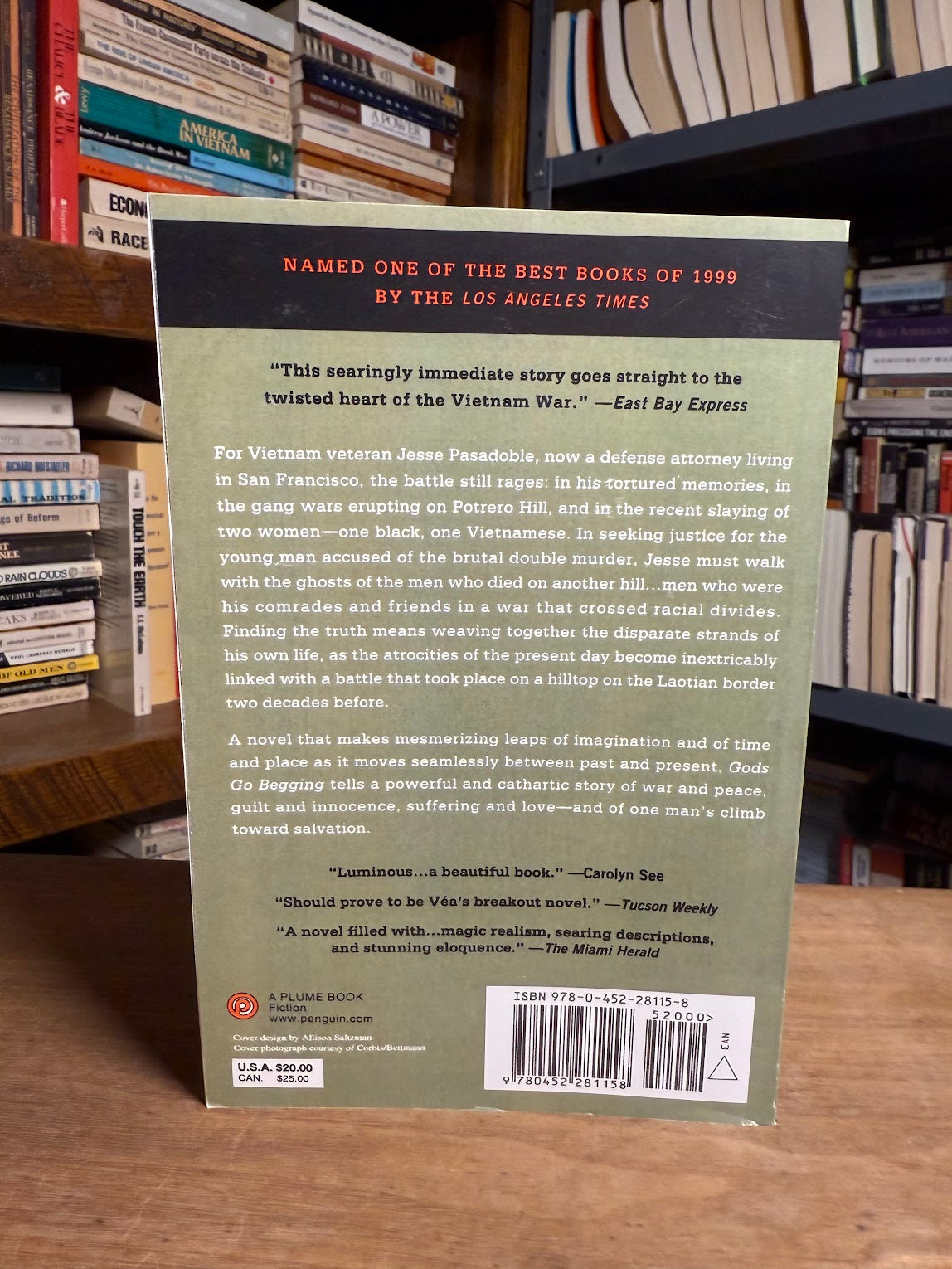 Gods Go Begging by Alfredo Vea