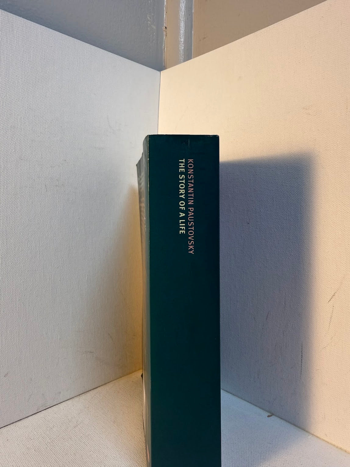 The Story of a Life by Konstantin Paustovsky