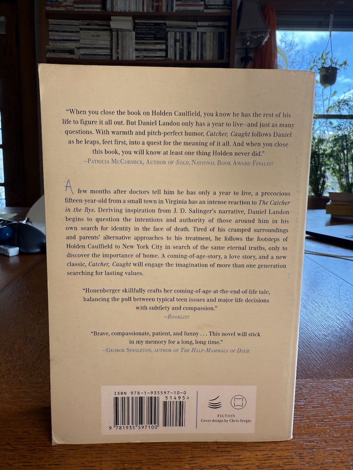 Catcher, Caught by Sarah Collins Honenberger