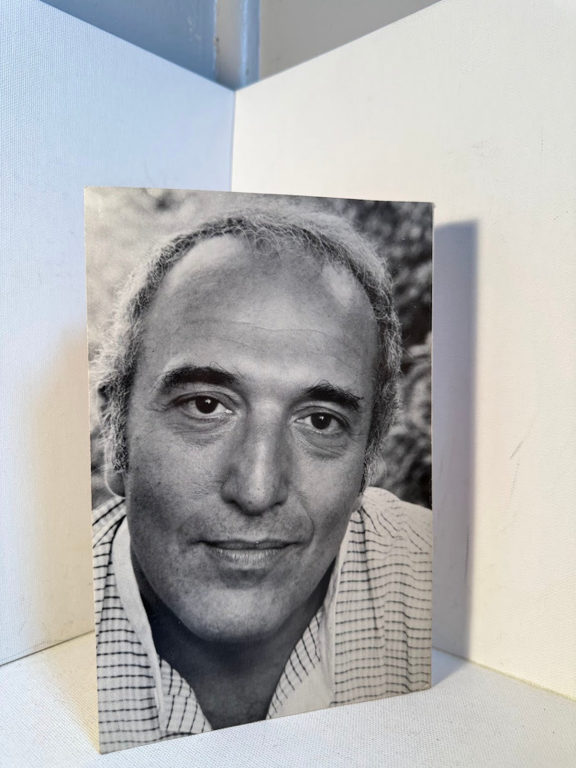 The Lonely Guy's Book of Life by Bruce Jay Friedman
