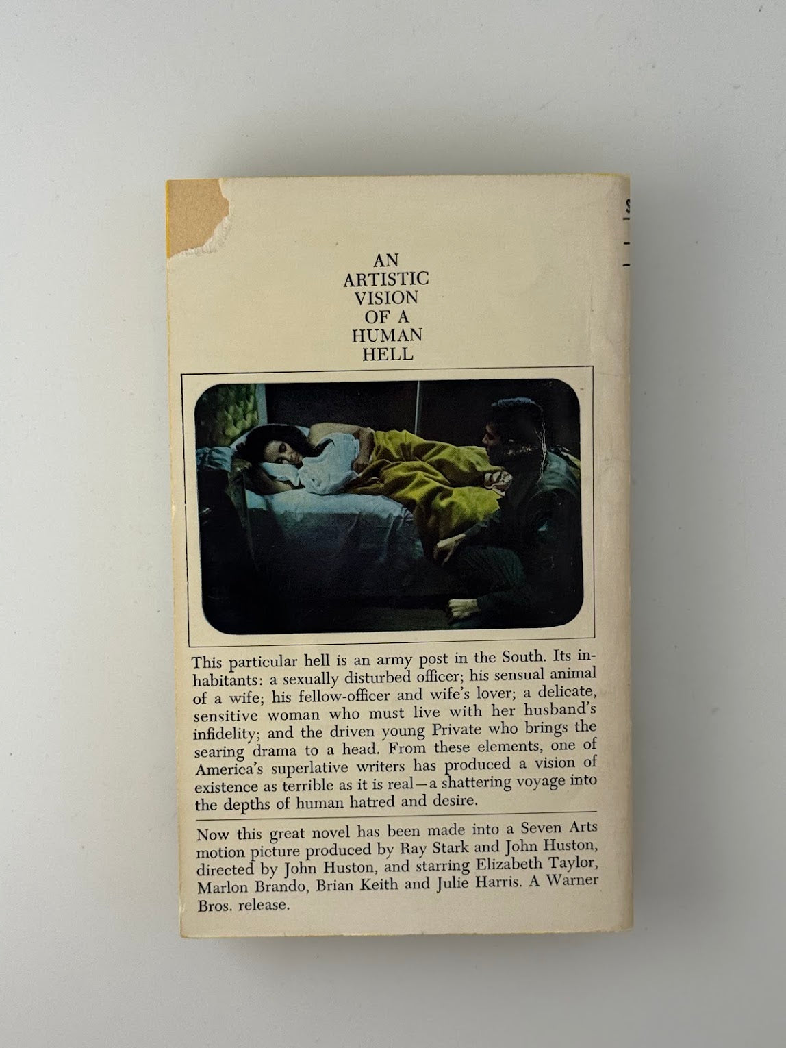 Reflections in a Golden Eye by Carson McCullers