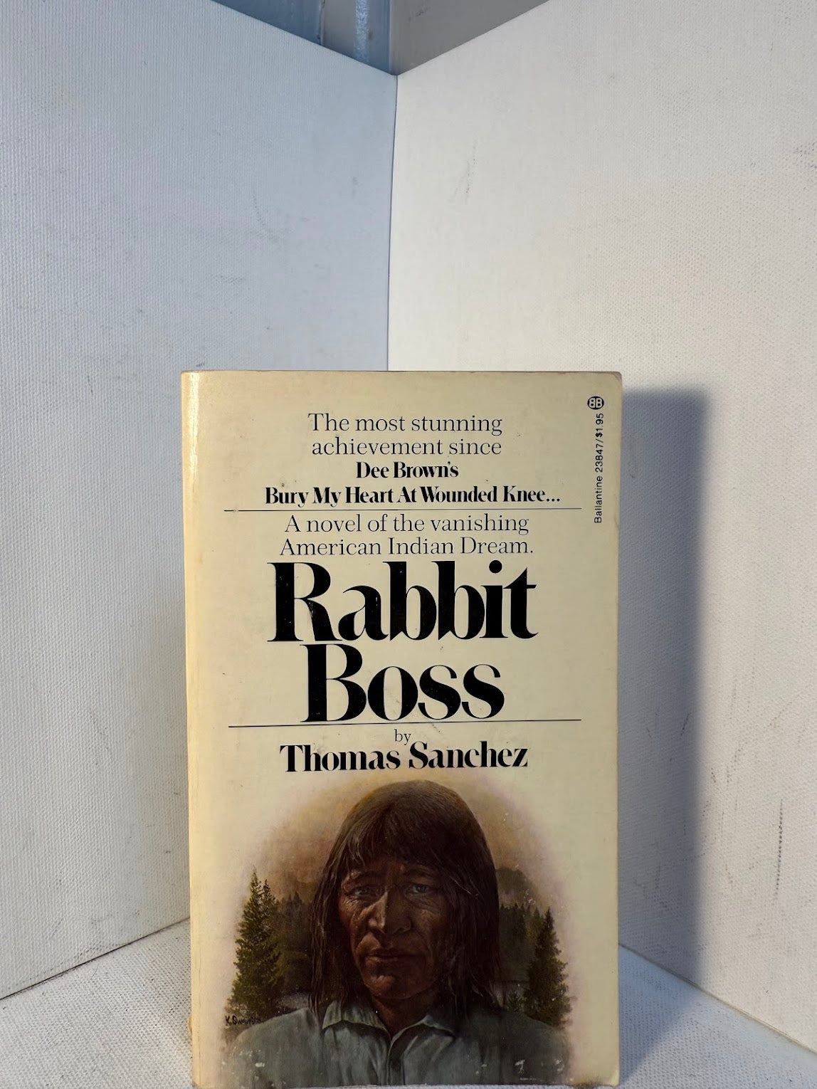 Rabbit Boss by Thomas Sanchez