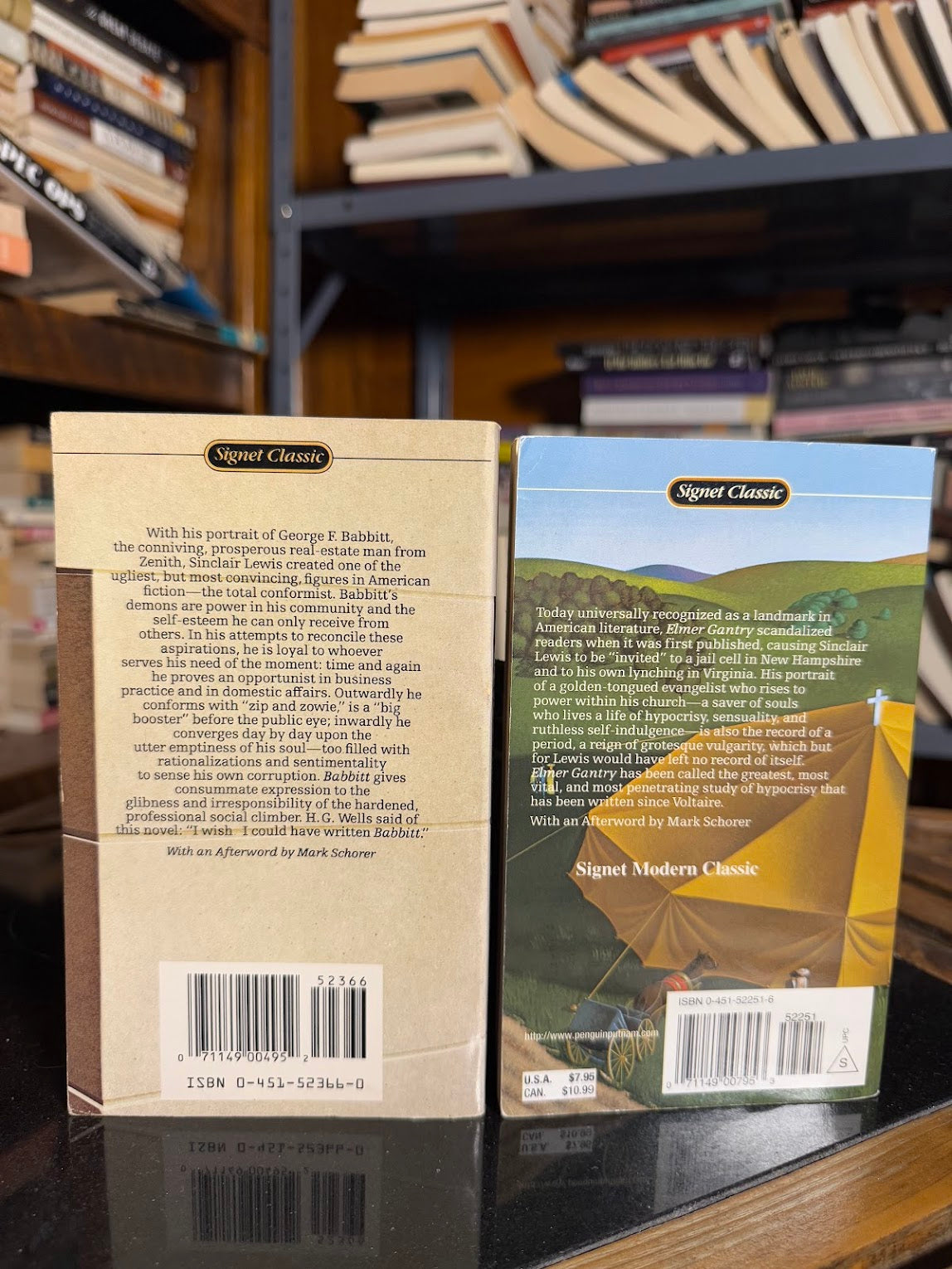 Babbitt & Elmer Gantry by Sinclair Lewis