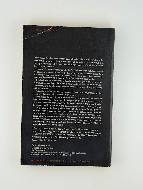 Family Worlds by Robert D. Hess and Gerald Handel