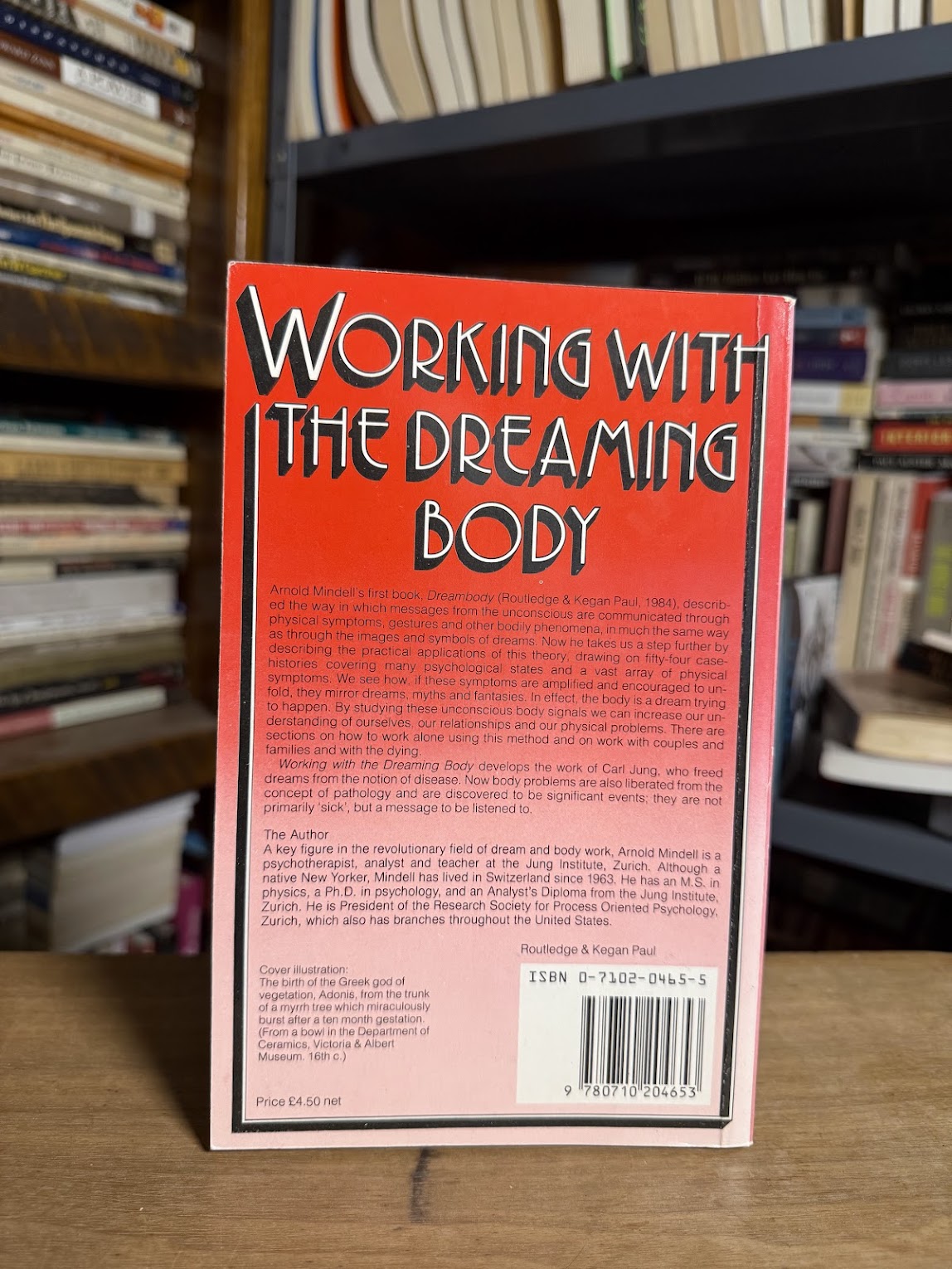 Working With the Dreaming Body by Arnold Mindell
