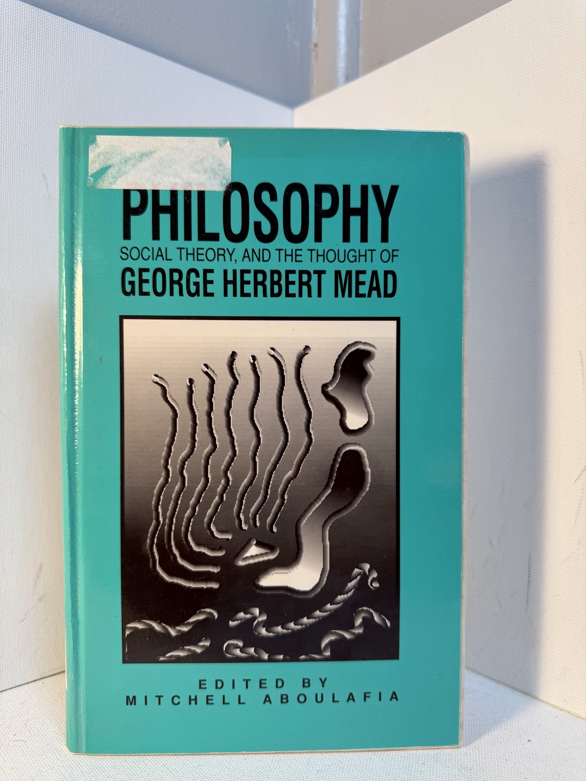 Philosophy - Social Theory, and the Thought of George Herbert Mead edited by Mitchell Aboulafia