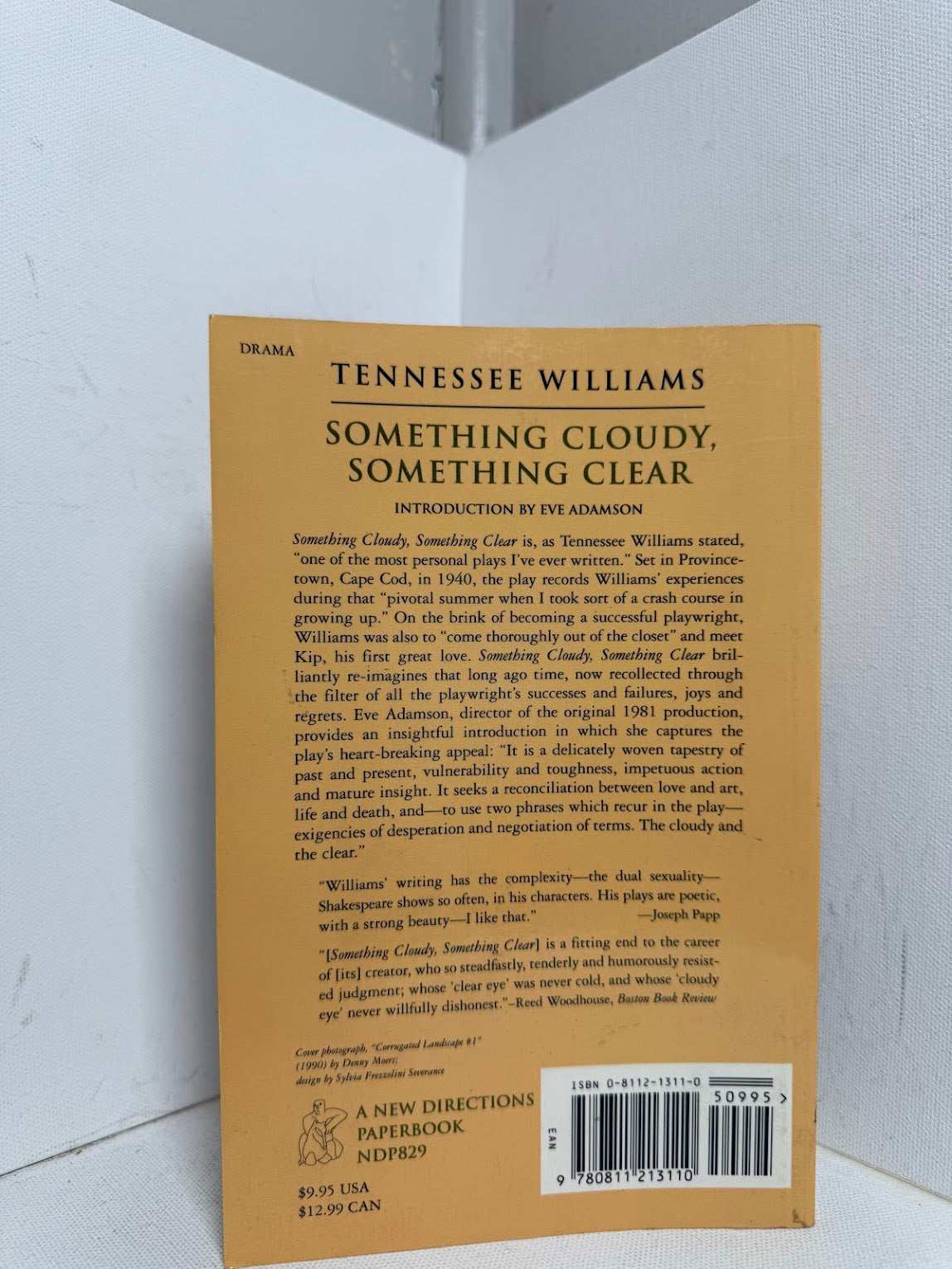 Something Cloudy, Something Clear by Tennessee Williams