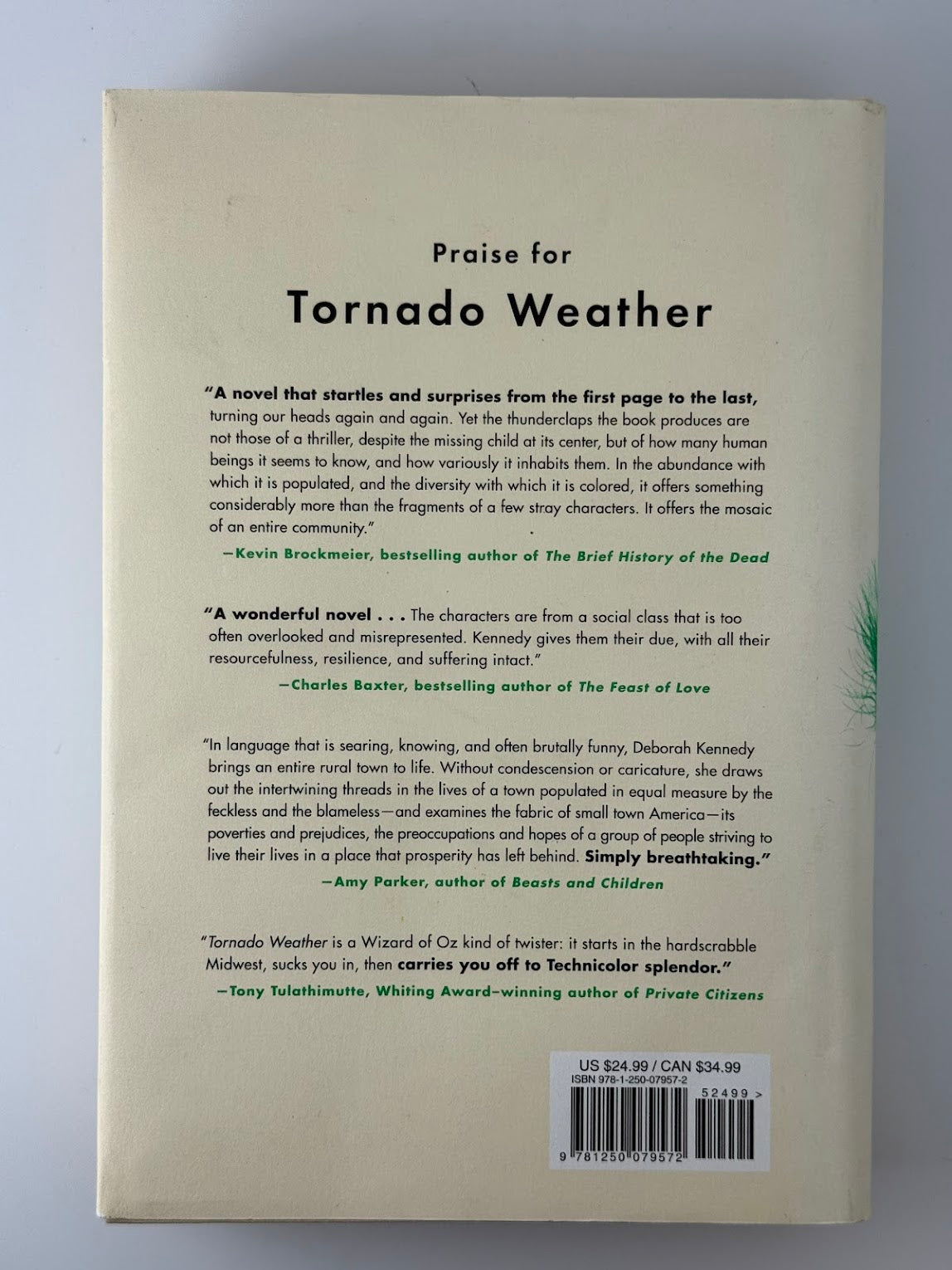 Tornado Weather by Deborah E. Kennedy