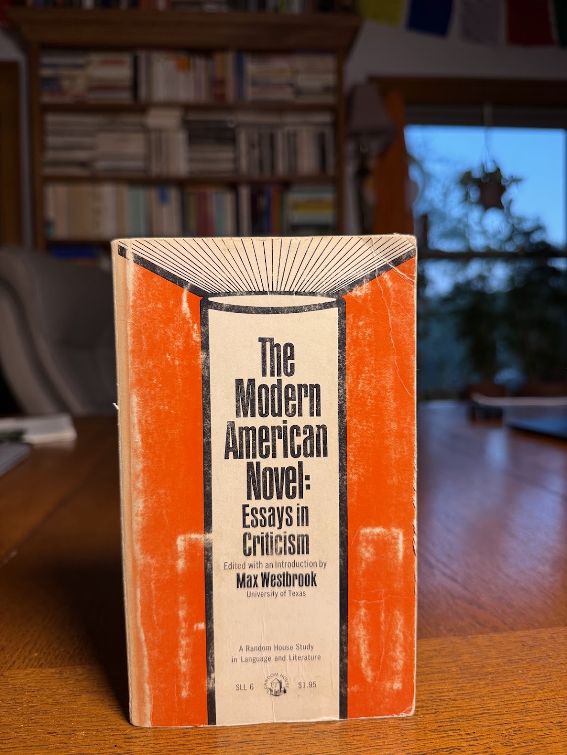 The Modern American Novel: Essays in Criticism by Max Westbrook