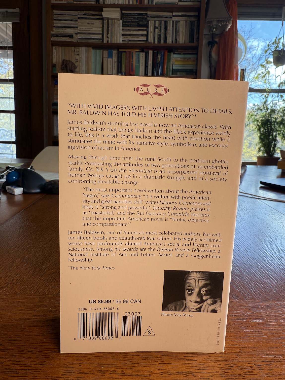 Go Tell It On The Mountain by James Baldwin