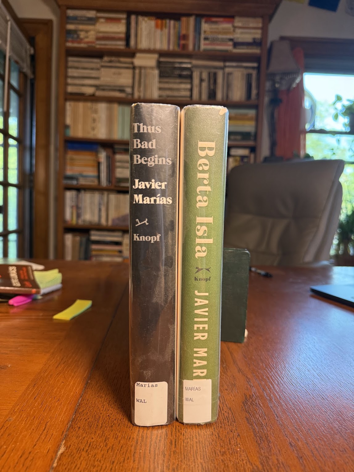Berta Isla & Thus Bad Begins by Javier Marias