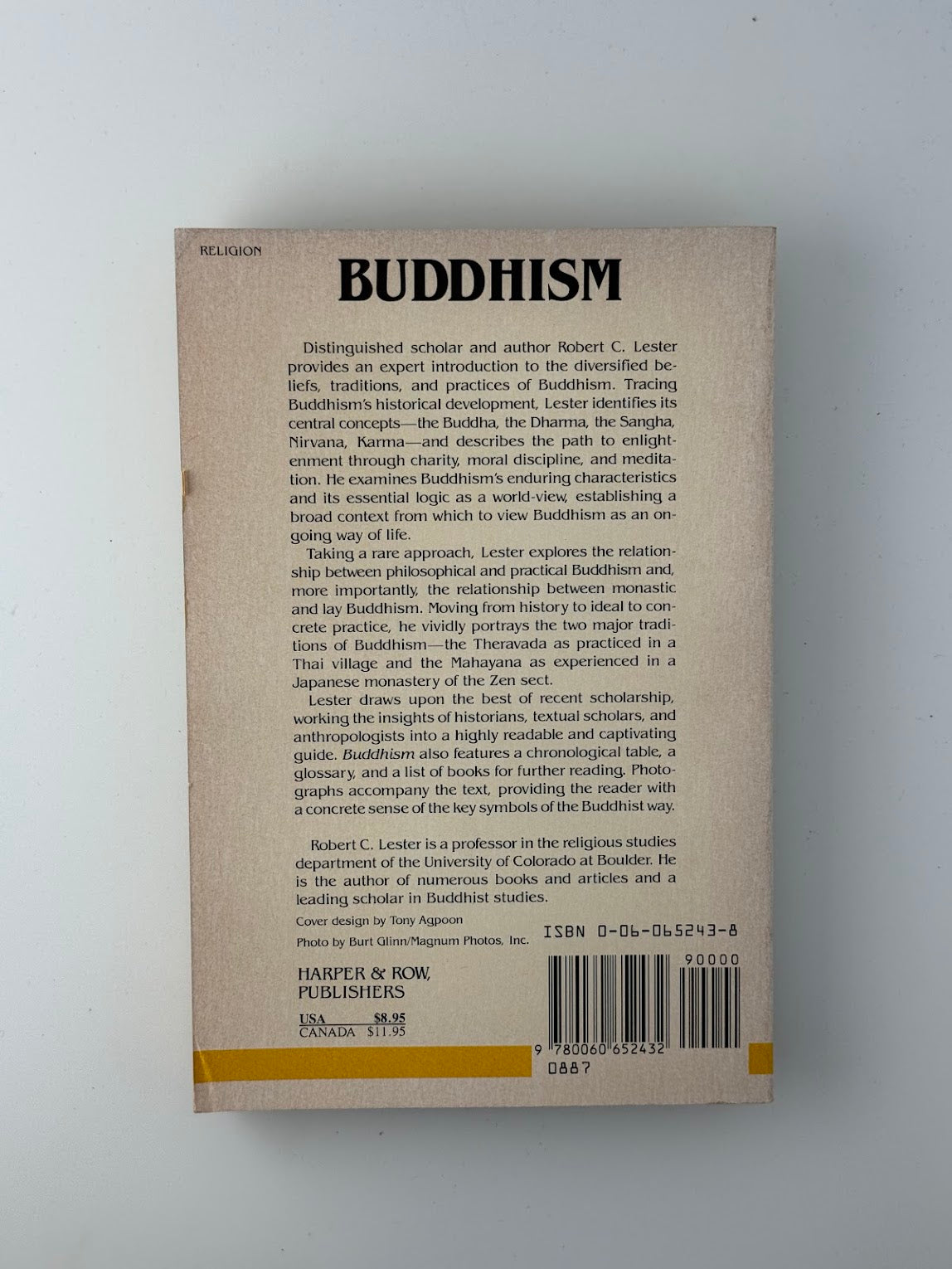 Buddhism by Robert C. Lester