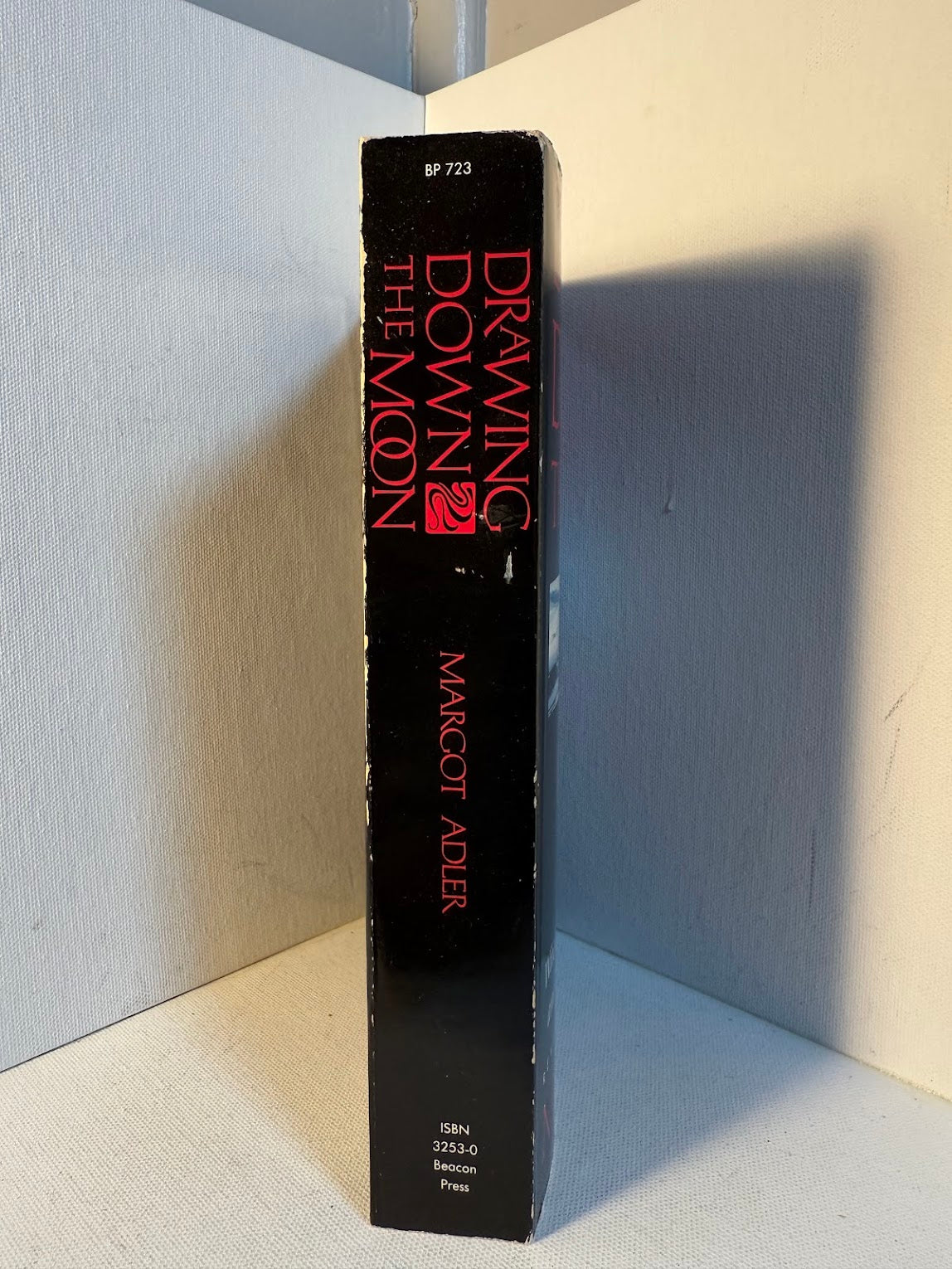 Drawing Down the Moon by Margot Adler