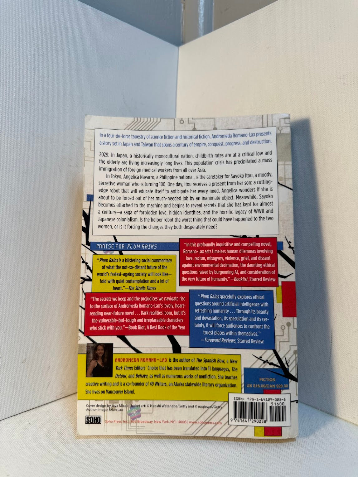 Plum Rains by Andromeda Romano-Lax