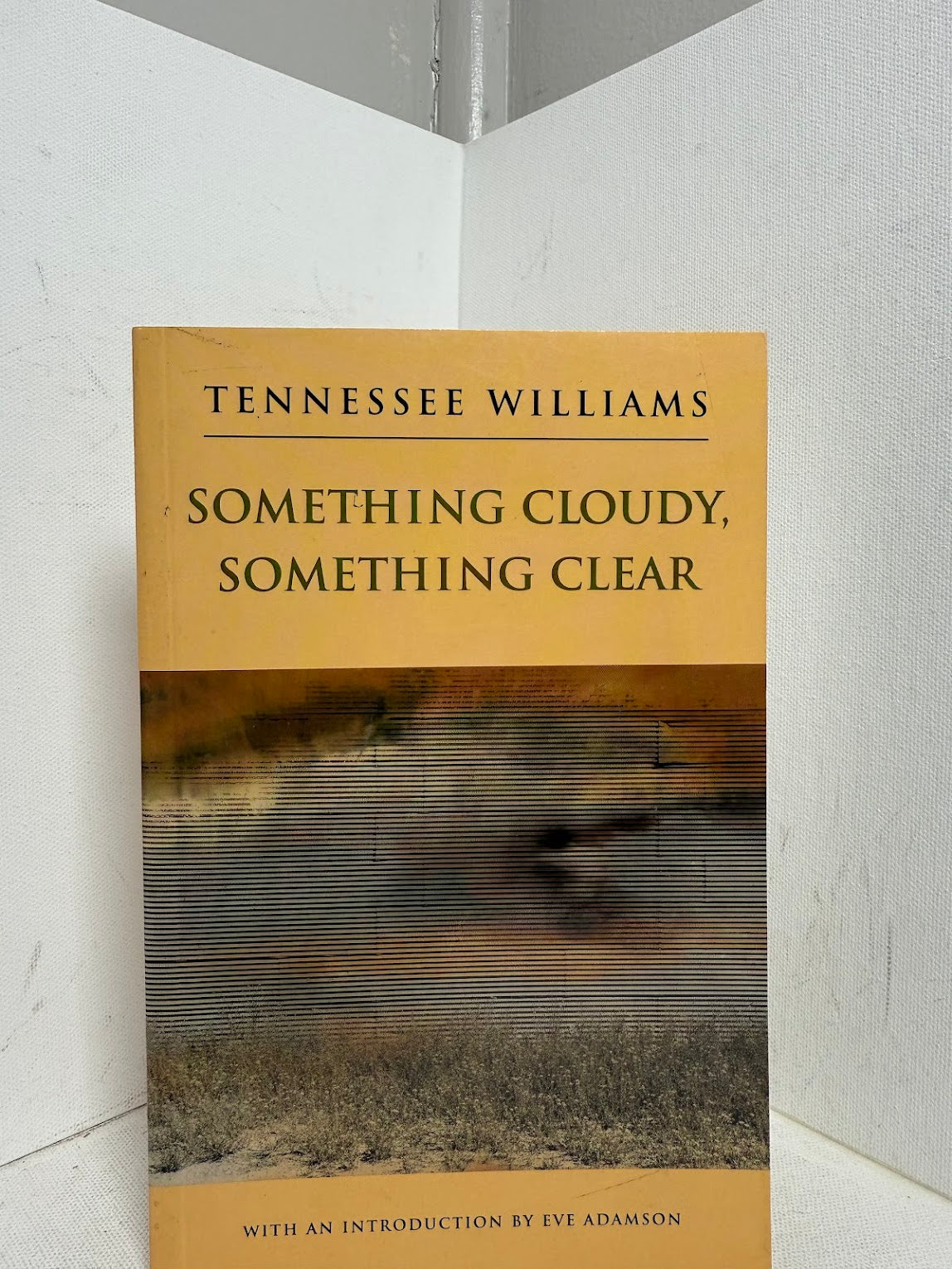 Something Cloudy, Something Clear by Tennessee Williams