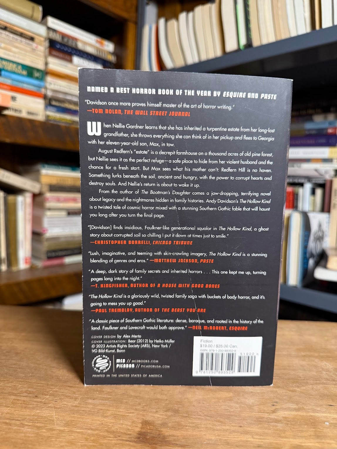 The Hollow Kind by Andy Davidson