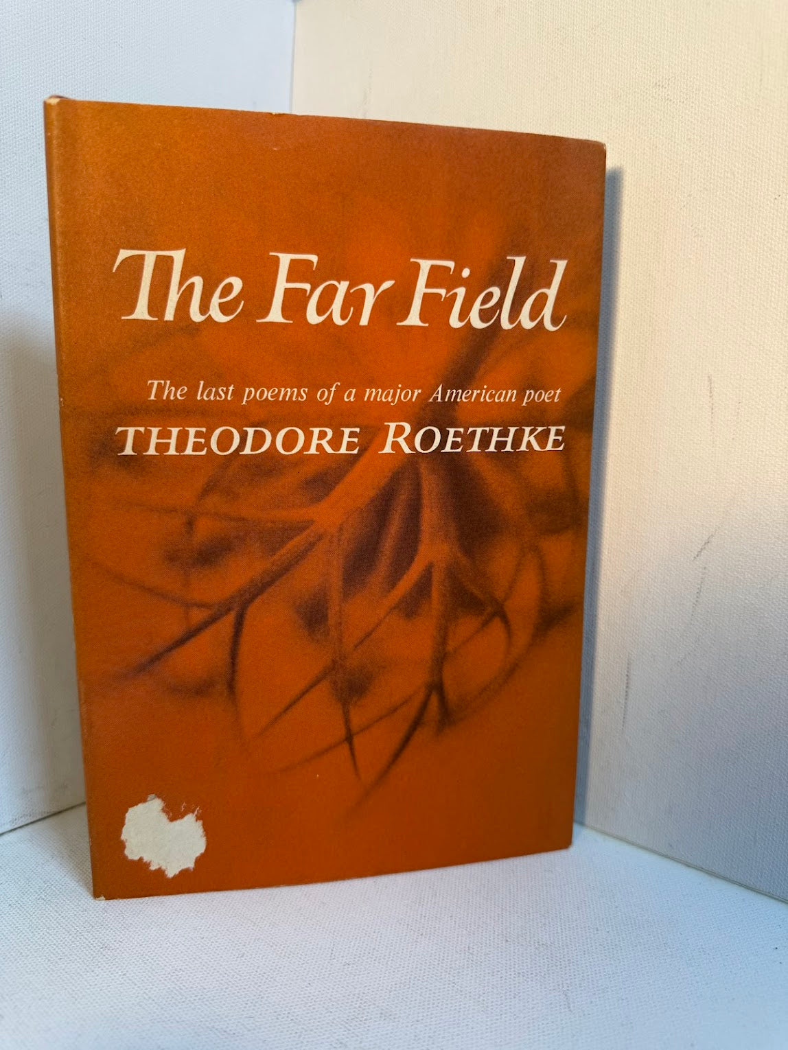 The Far Field by Theodore Roethke