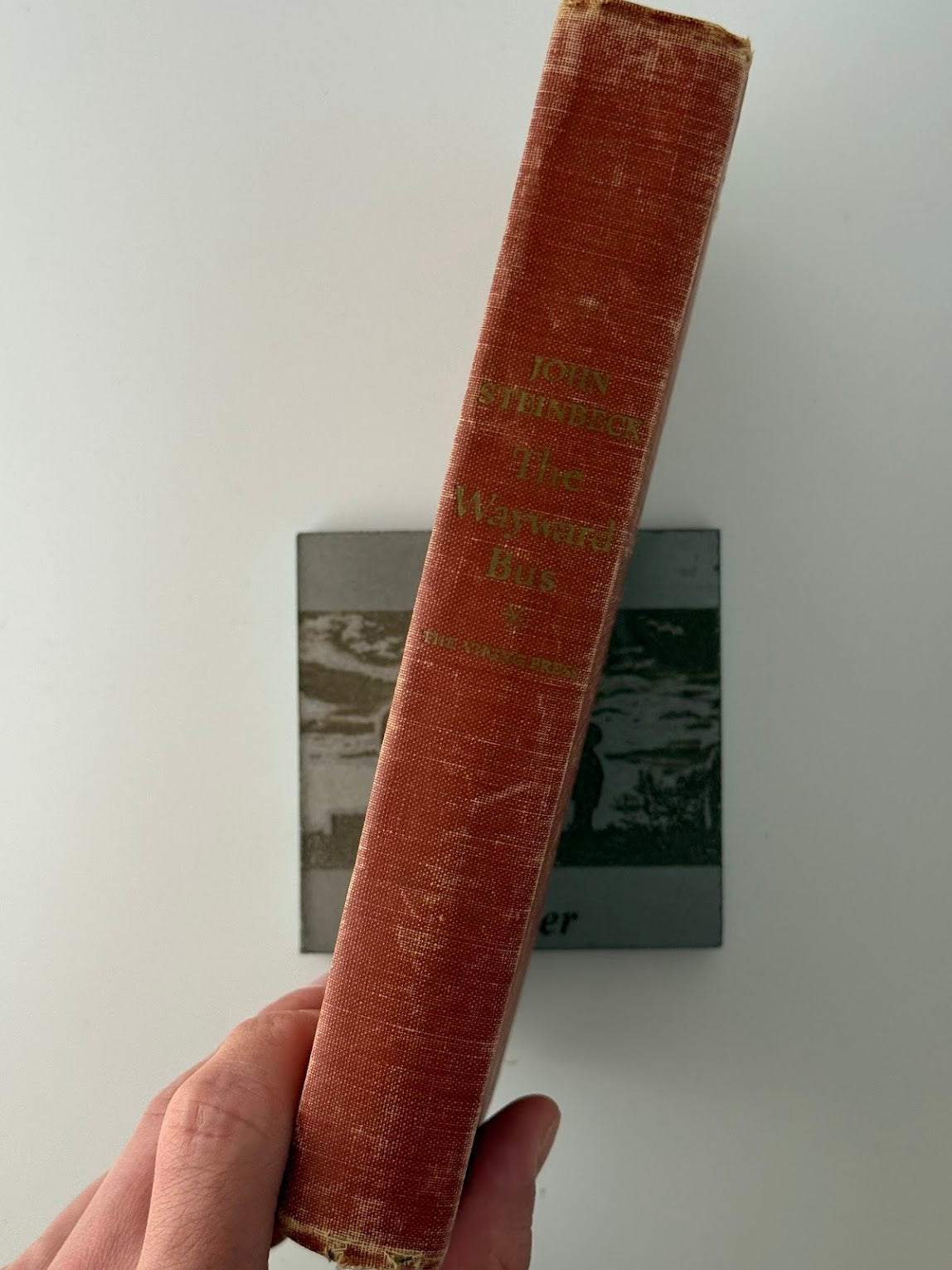 The Wayward Bus by John Steinbeck