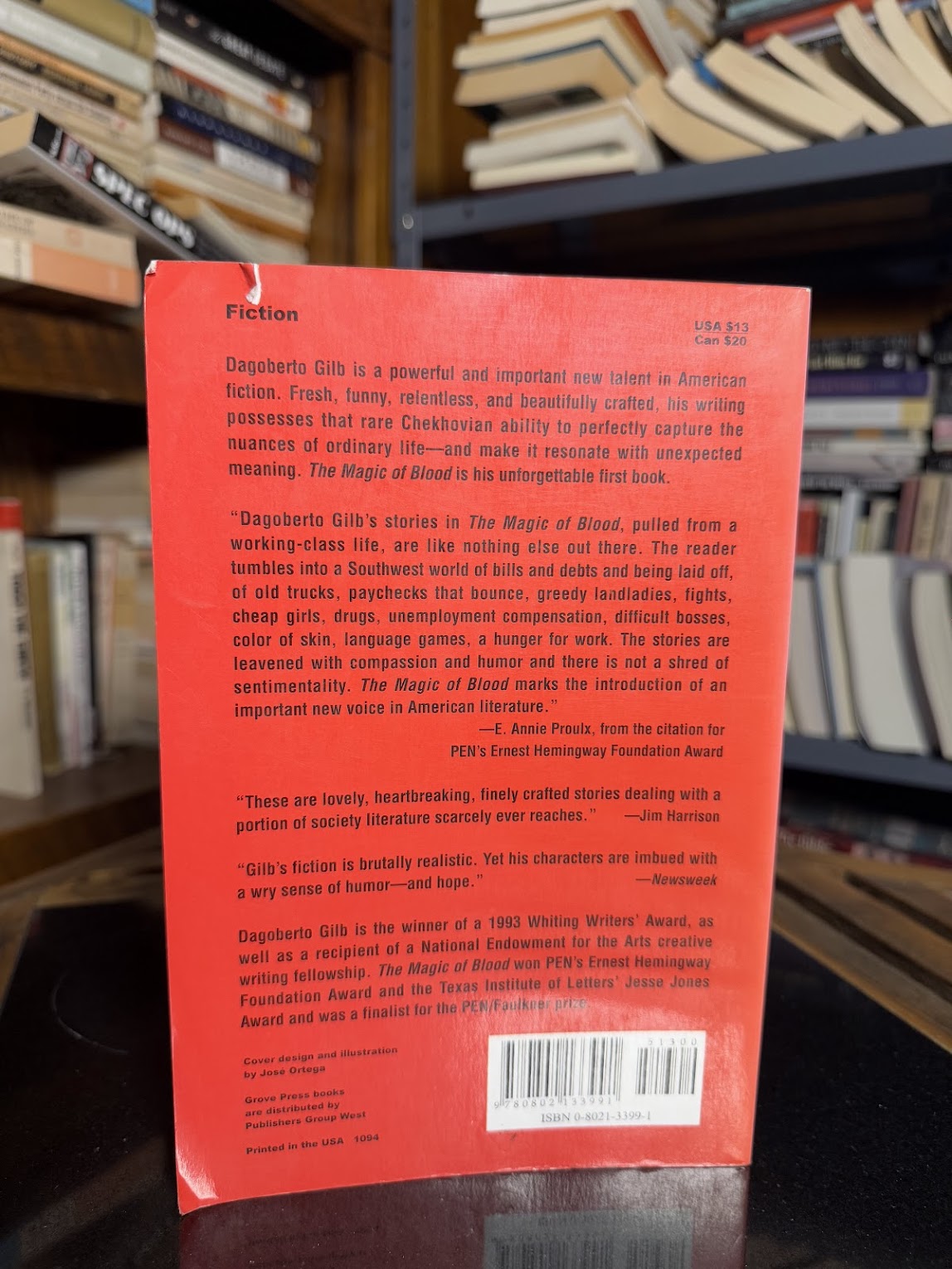 The Magic of Blood by Dagoberto Gilb