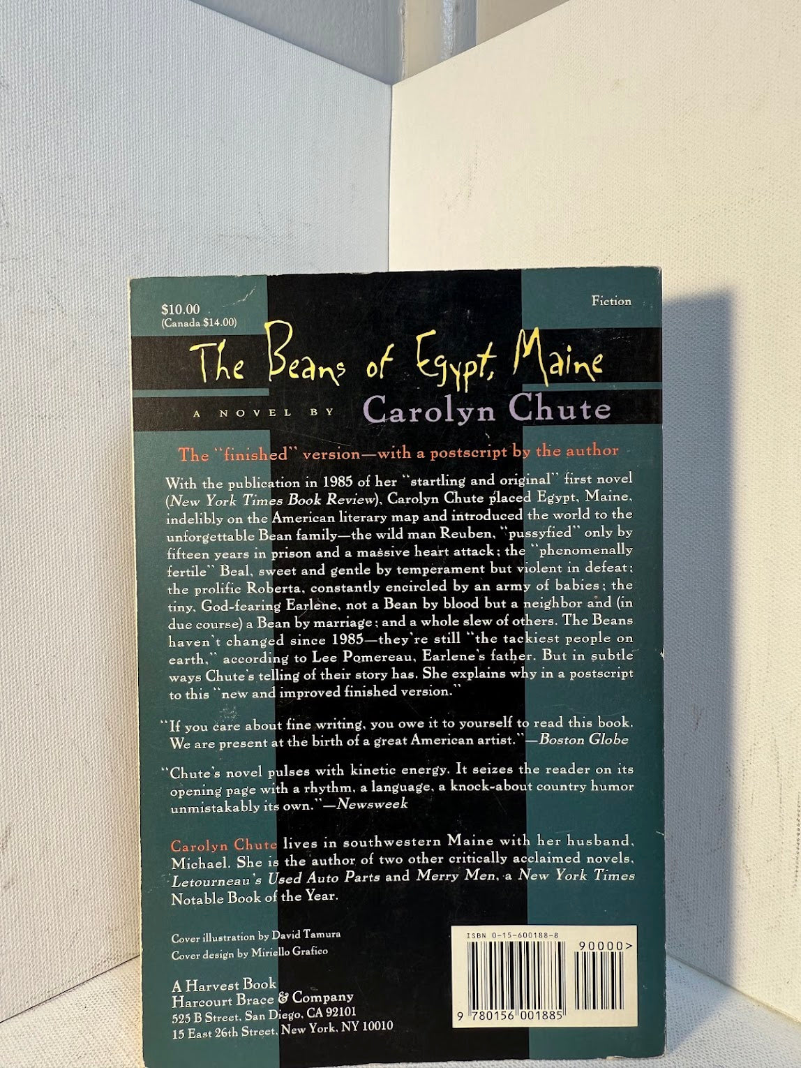 The Beans of Egypt, Maine by Carolyn Chute