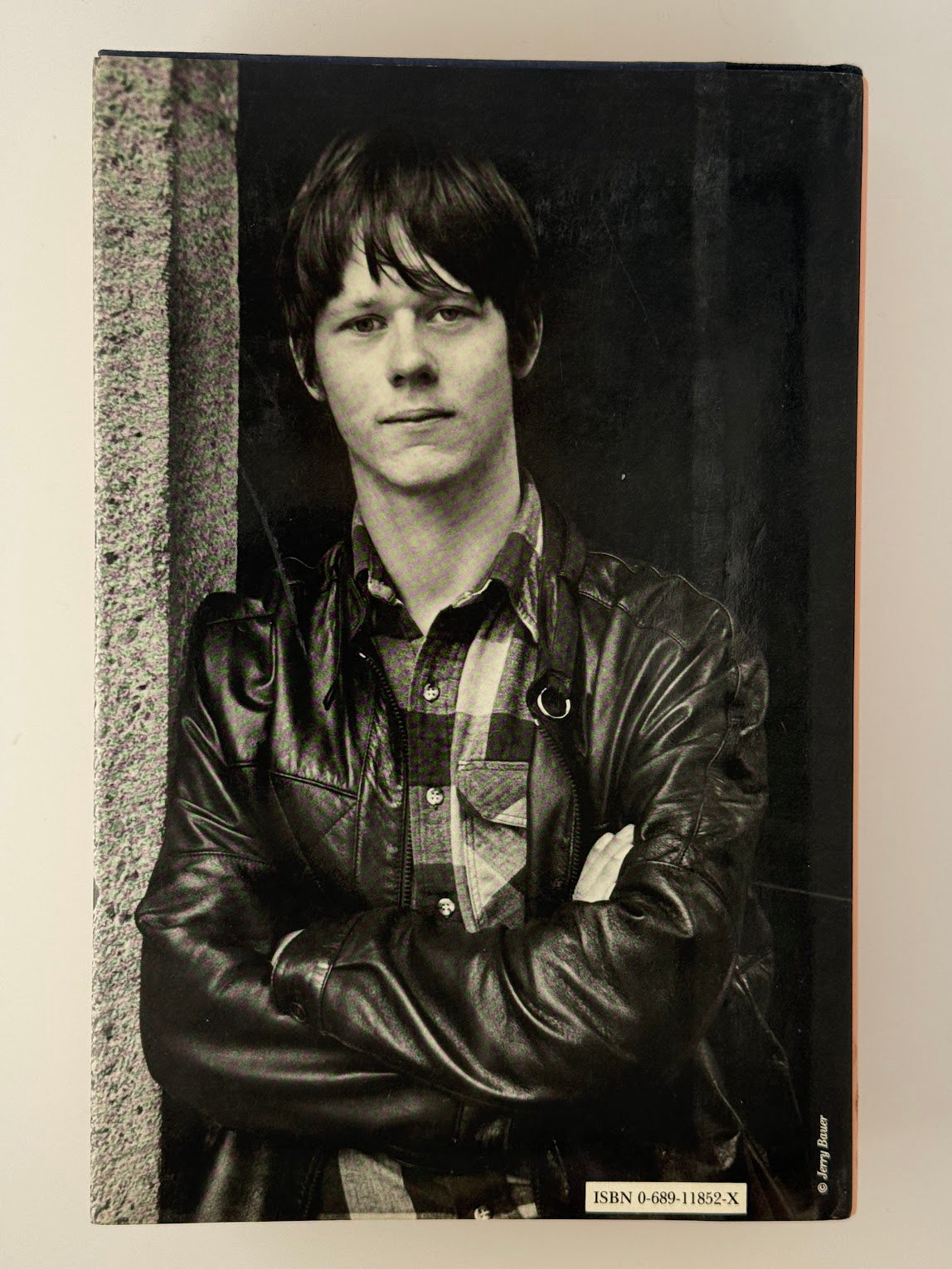 You Bright and Risen Angels by William T. Vollmann