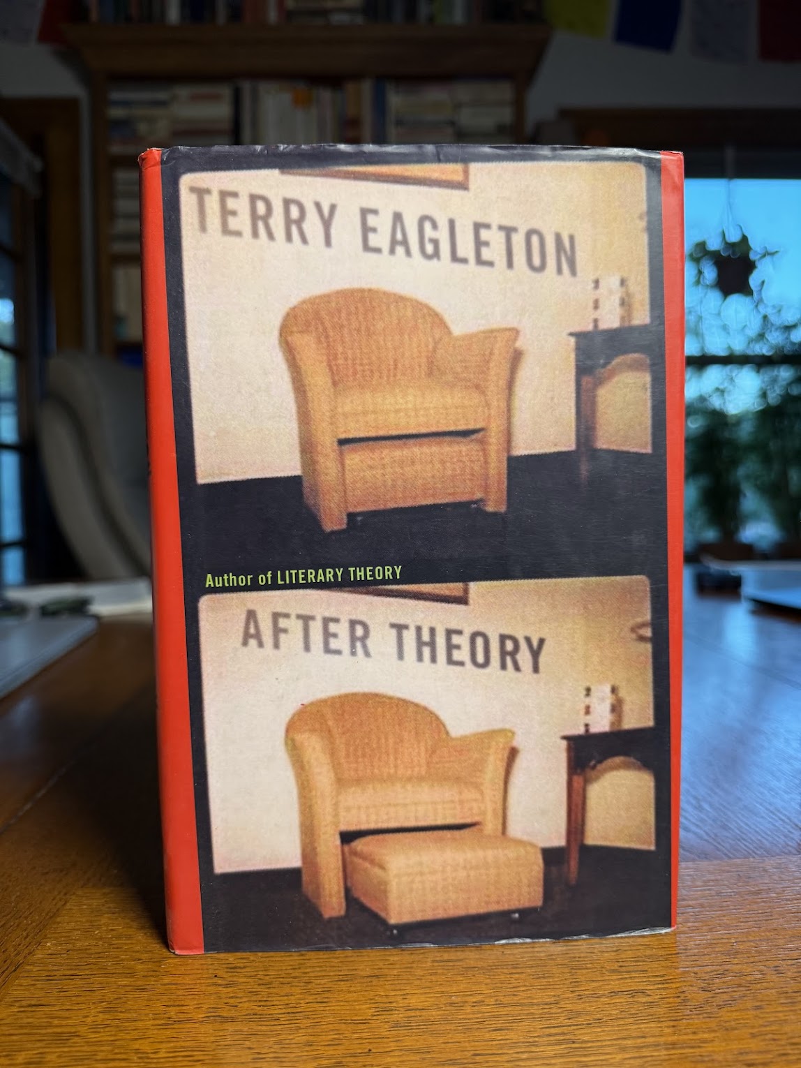 After Theory by Terry Eagleton