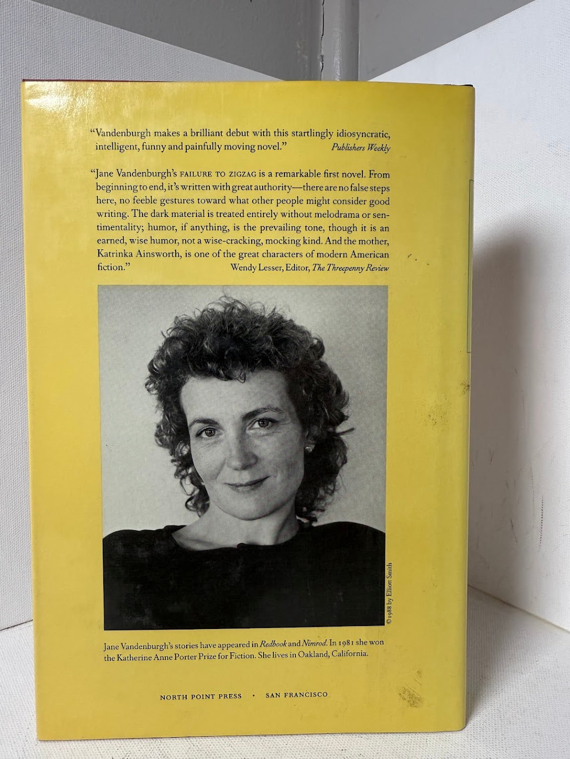 Failure to Zigzag by Jane Vandenburgh