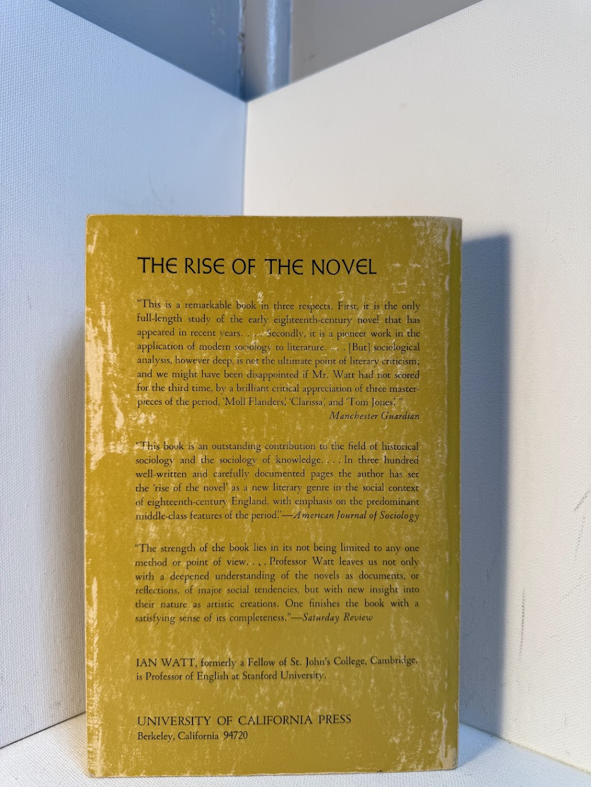 The Rise of the Novel by Ian Watt