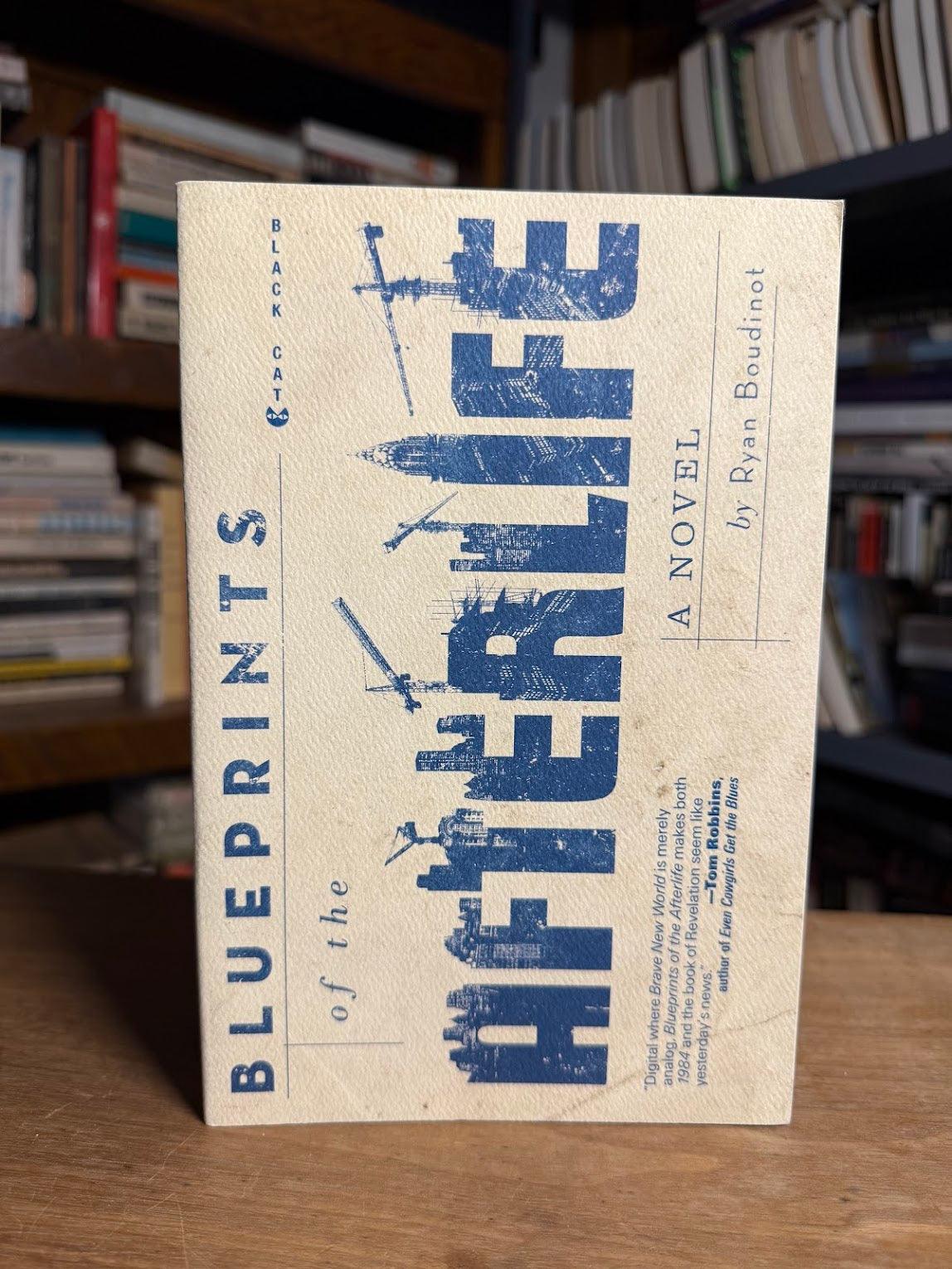 Blueprints of the After Life by Ryan Boudinot