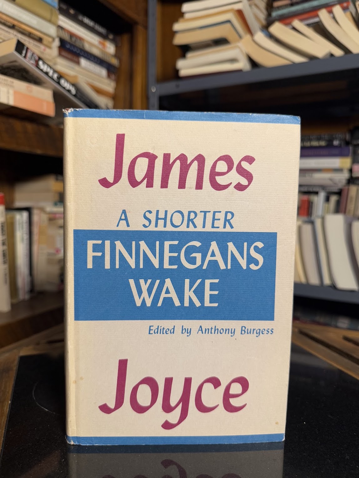 A Shorter Finnegans Wake by James Joyce
