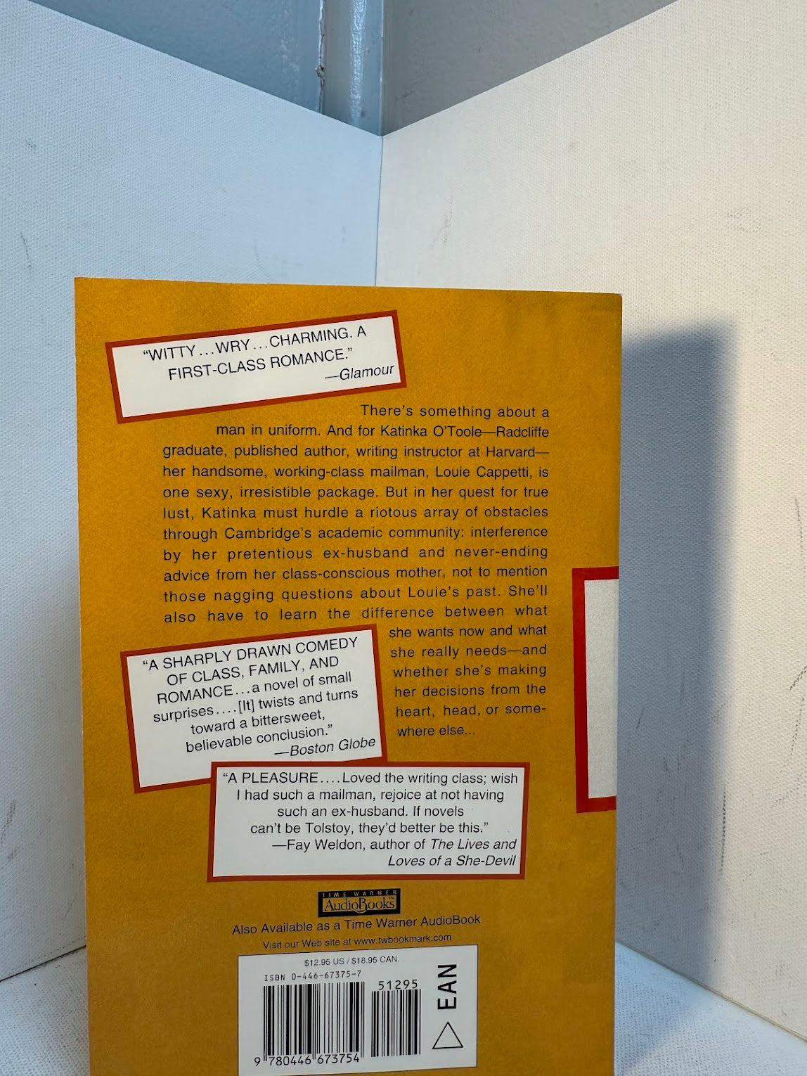 Mail by Maeve Medwed