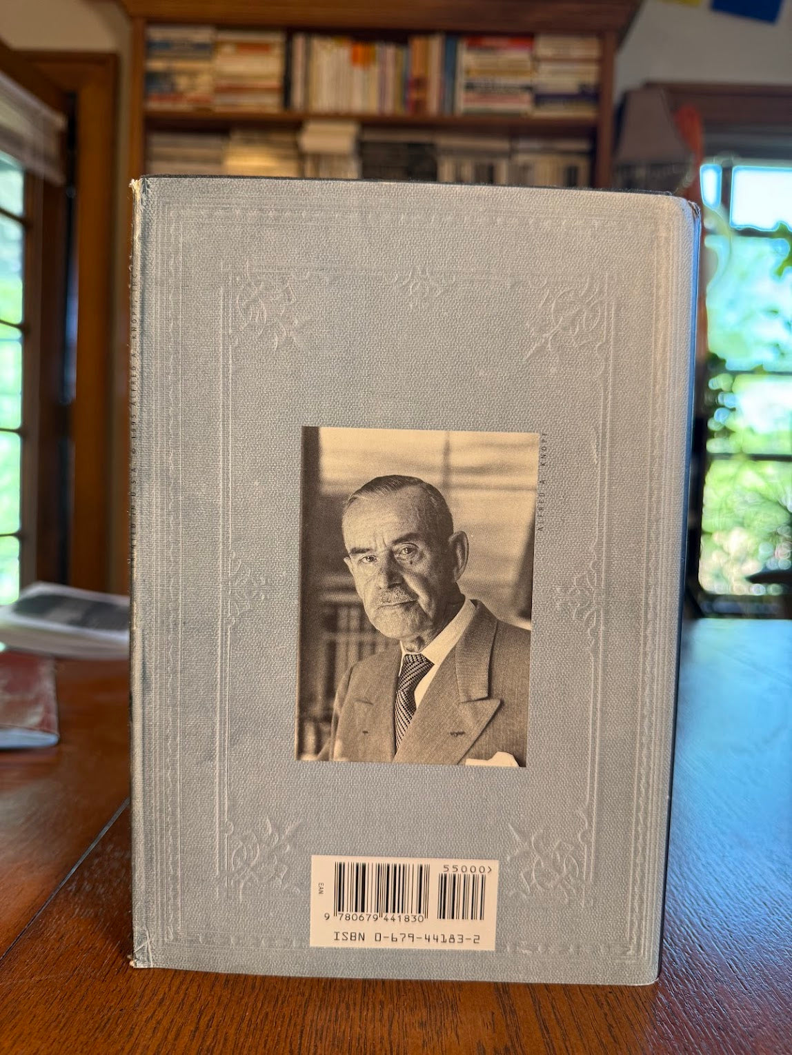 The Magic Mountain by Thomas Mann