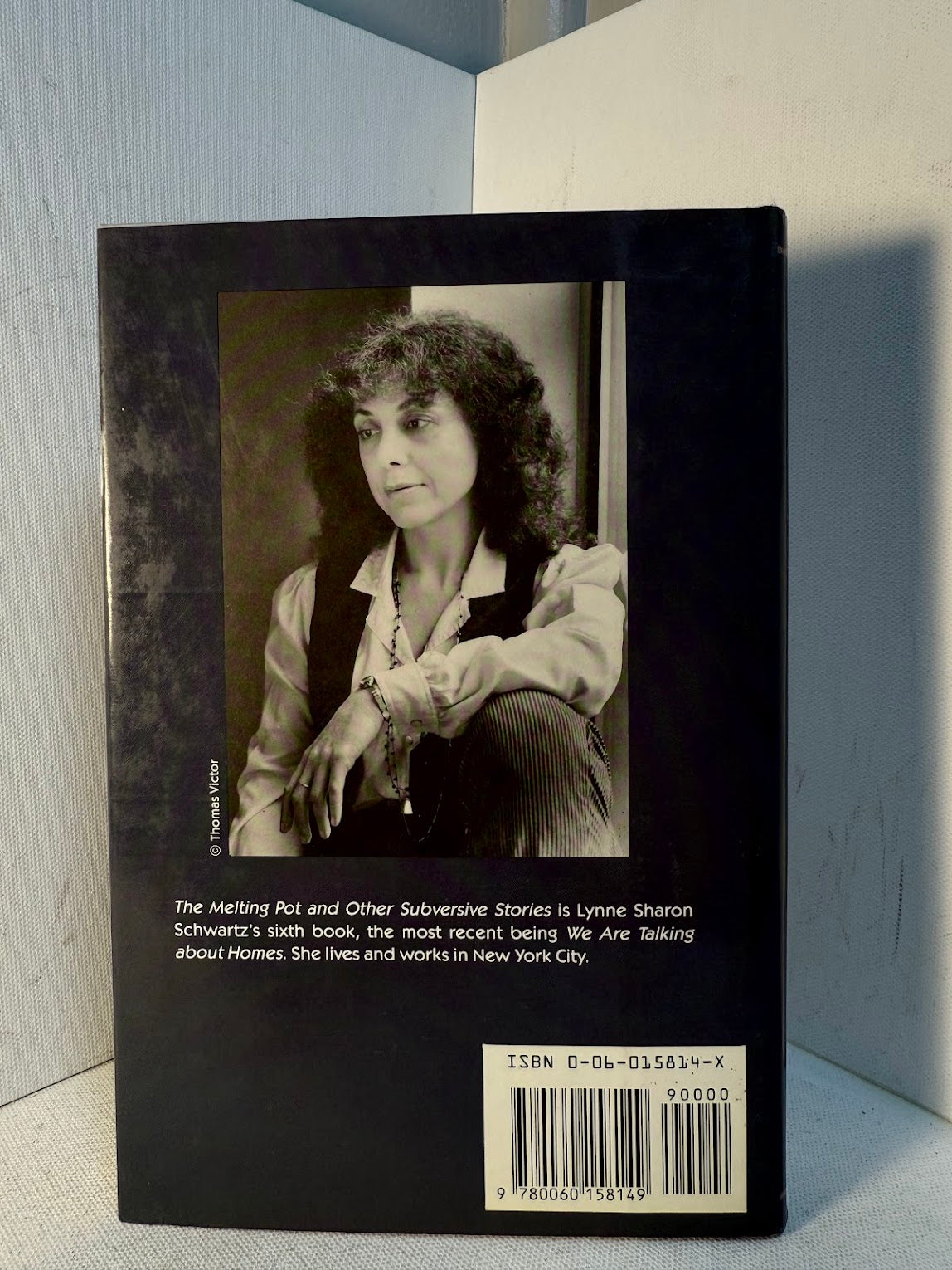 The Melting Pot and Other Subversive Stories by Lynne Sharon Schwartz