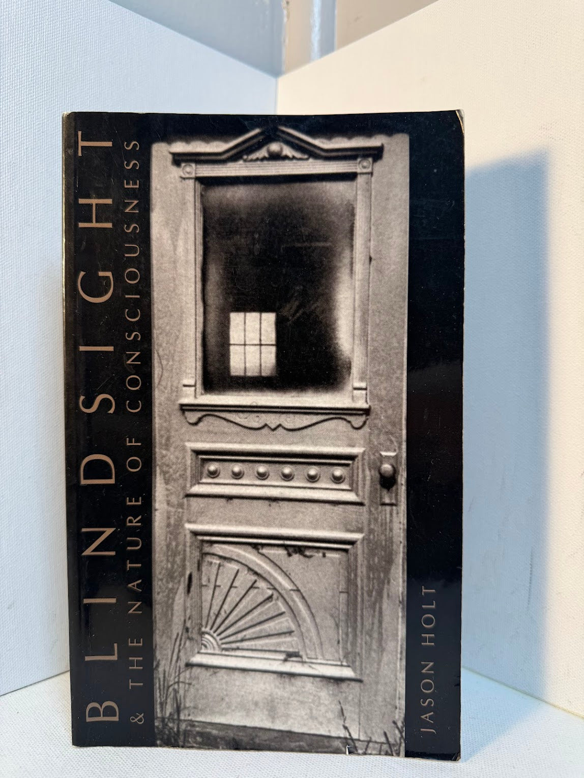 Blindsight & The Nature of Consciousness by Jason Holt