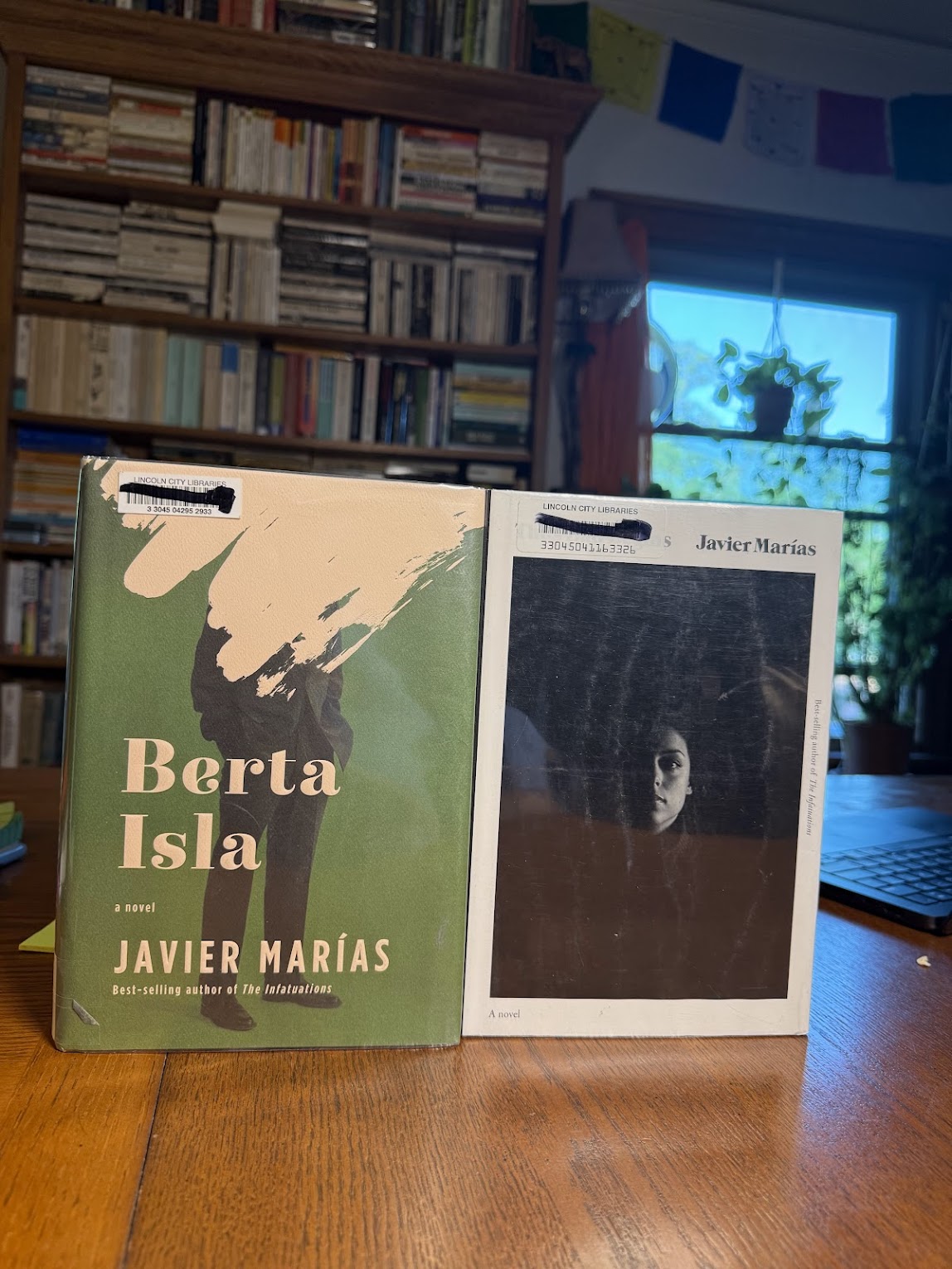 Berta Isla & Thus Bad Begins by Javier Marias