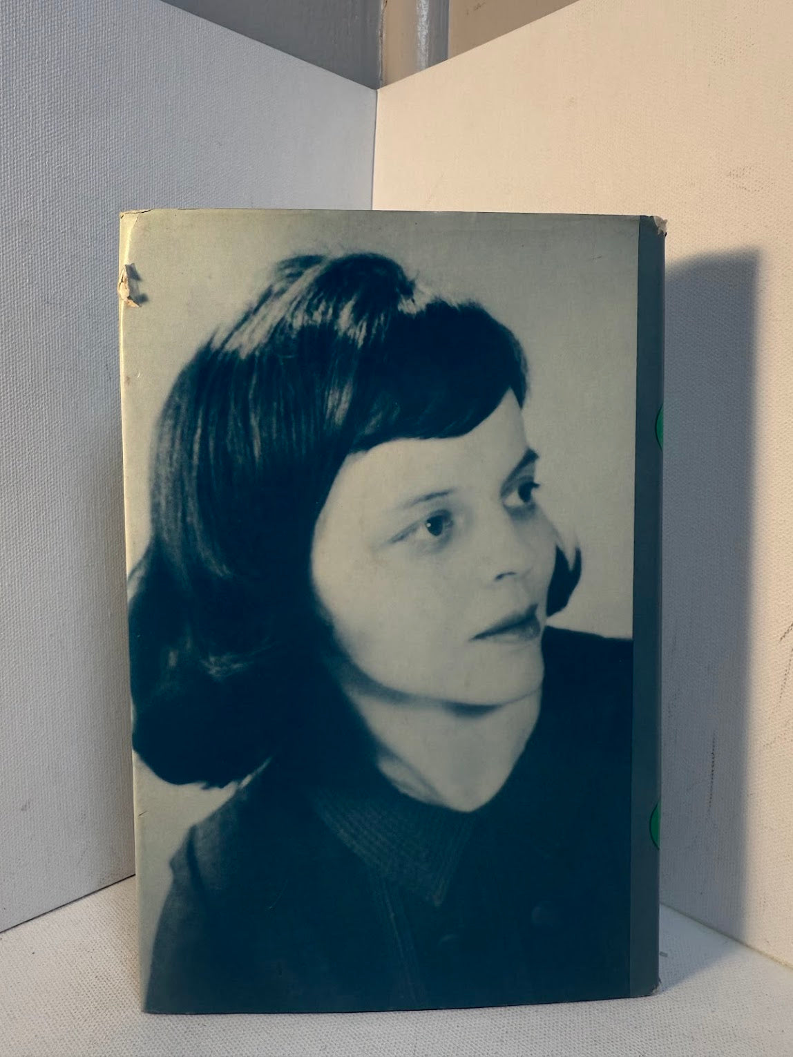 The Illusion of Eve - Modern Woman's Quest for Identity by Sidney Cornelia Callahan