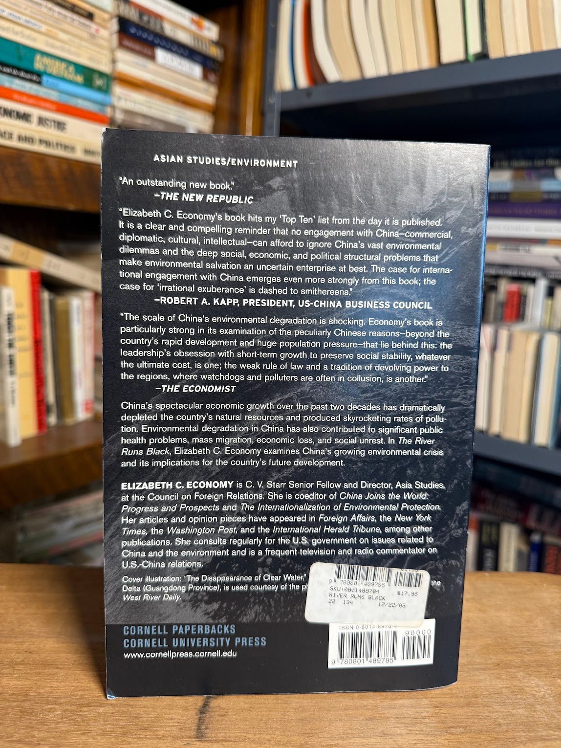 The River Runs Black - The Environmental Challenge to China's Future by Elizabeth C. Economy