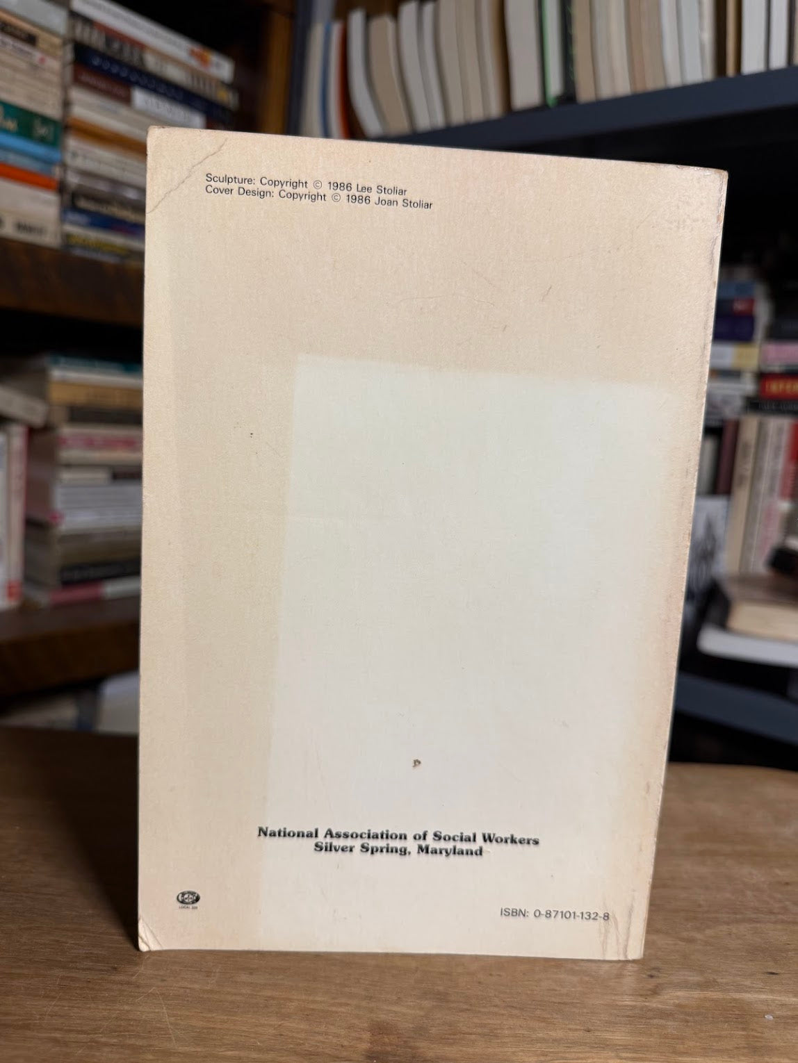 Feminist Visions for Social Work edited by Nan Van DenBergh & Lynn B. Cooper
