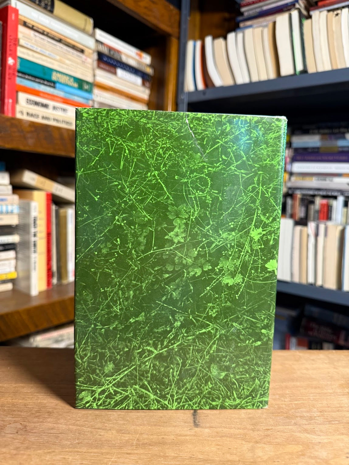 Brother Francis - An Anthology of Writings About St. Francis of Assisi edited by Lawrence Cunningham