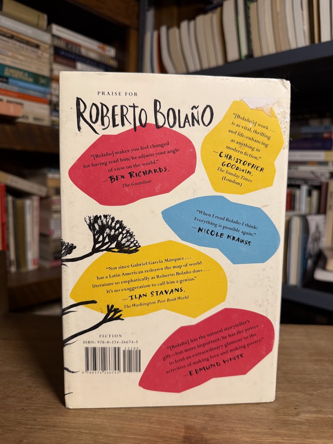 Woes of the True Policeman by Roberto Bolano