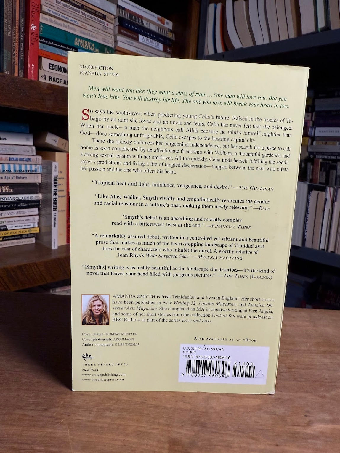 Lime Tree Can't Bear Orange by Amanda Smyth