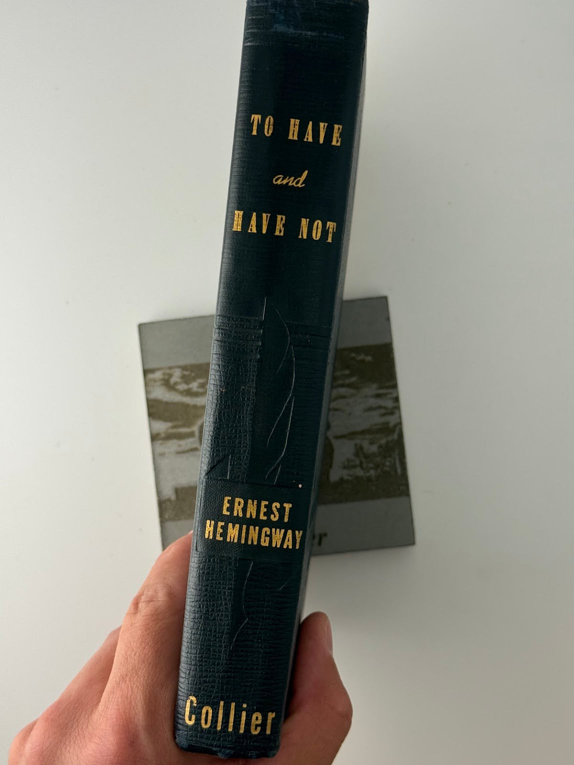 To Have and Have Not by Ernest Hemingway